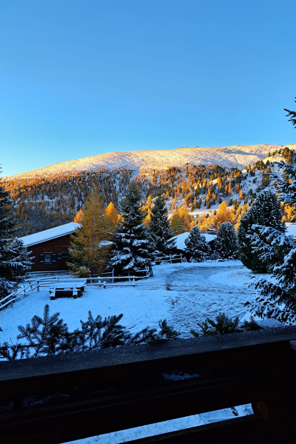 Blommen in Falkertsee-Binnen