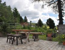 Ruim Kärntnerhaus aan de skipiste en het meer in Falkertsee - thumbnail 4