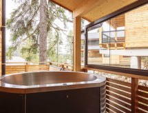 Superior # 12 Sauna & Hot Tub