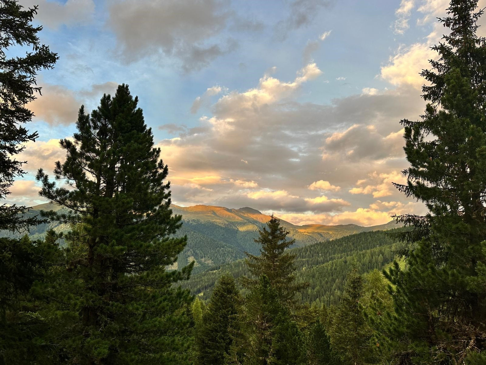 View