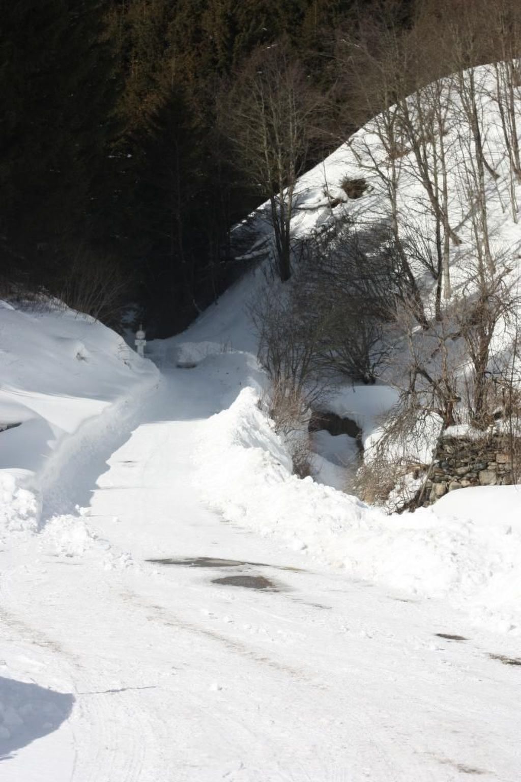 Berghof Turrach in Turrach-Binnen