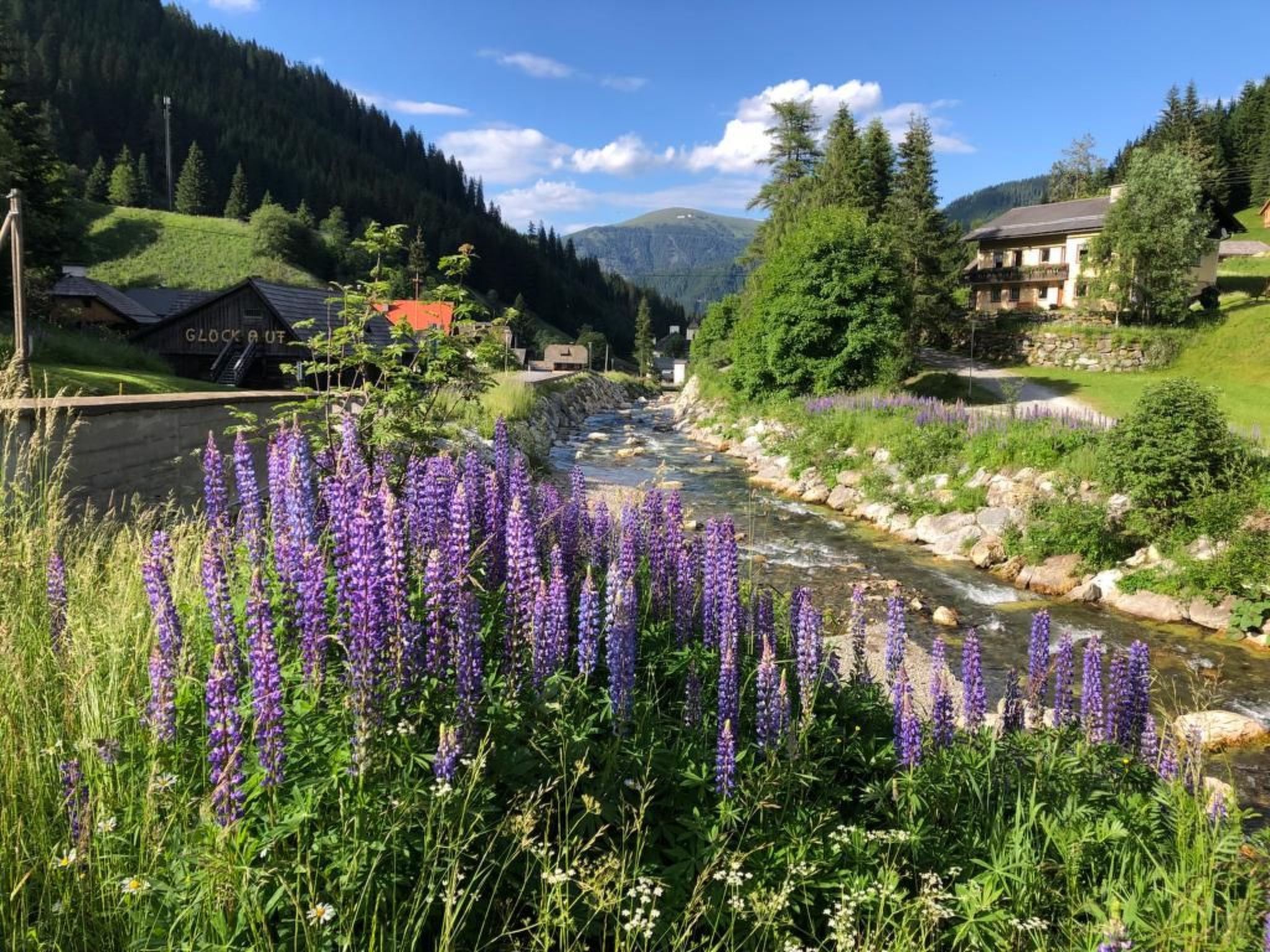 Berghof Turrach in Turrach-Binnen