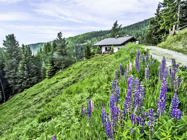 Op 300 m van de piste: Vakantiehuis Lotte in Sirnitz-Hochrindl in Sirnitz - Hochrindl