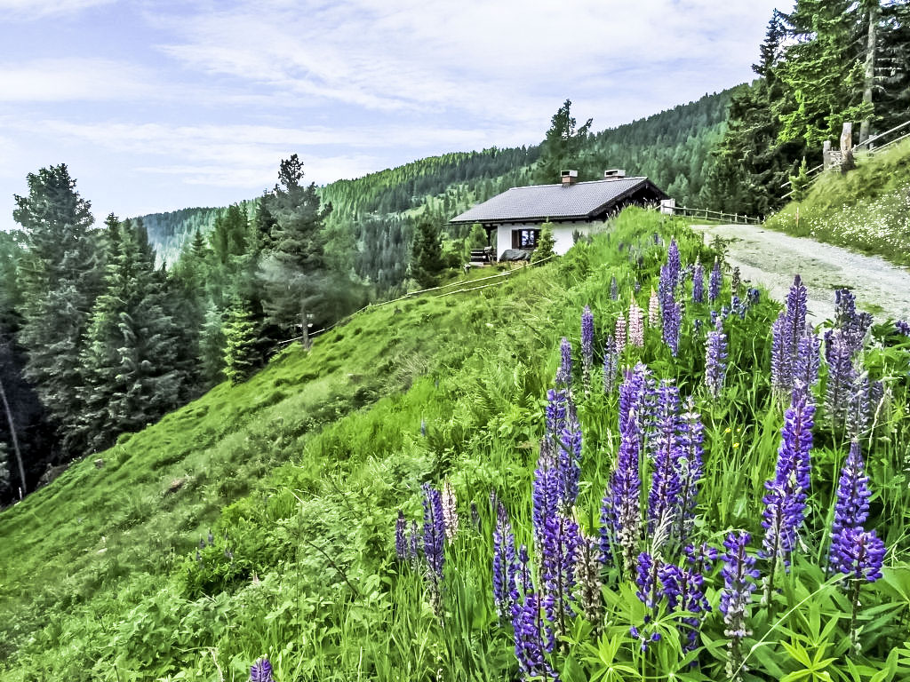 Ferienhaus Lotte Ferienhaus  Kärnten