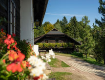 Appartement Felsenfest