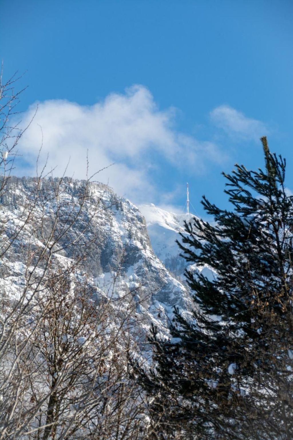 Gartenlodge-Image-tags.info