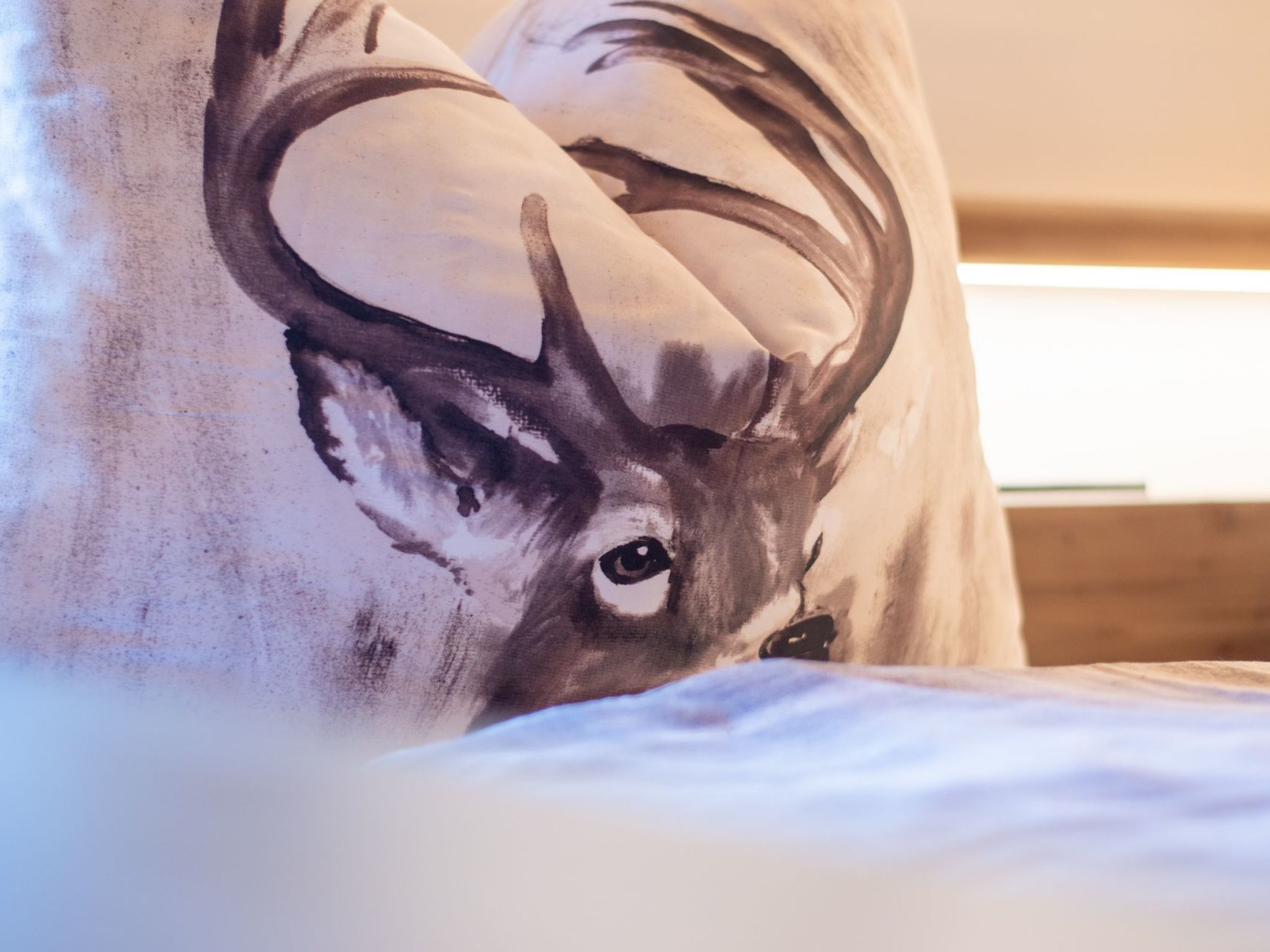 In Gemeinde Hermagor-Pressegger See mit Terrasse, Grill und Garten-Image-tags.info