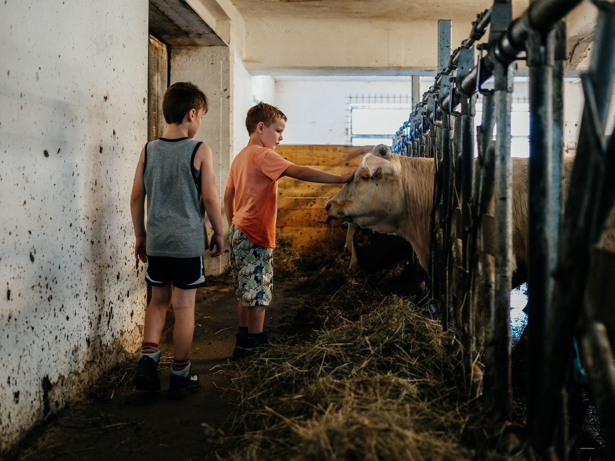 In Gemeinde Hermagor-Pressegger See mit Terrasse, Grill und Garten-Image-tags.info