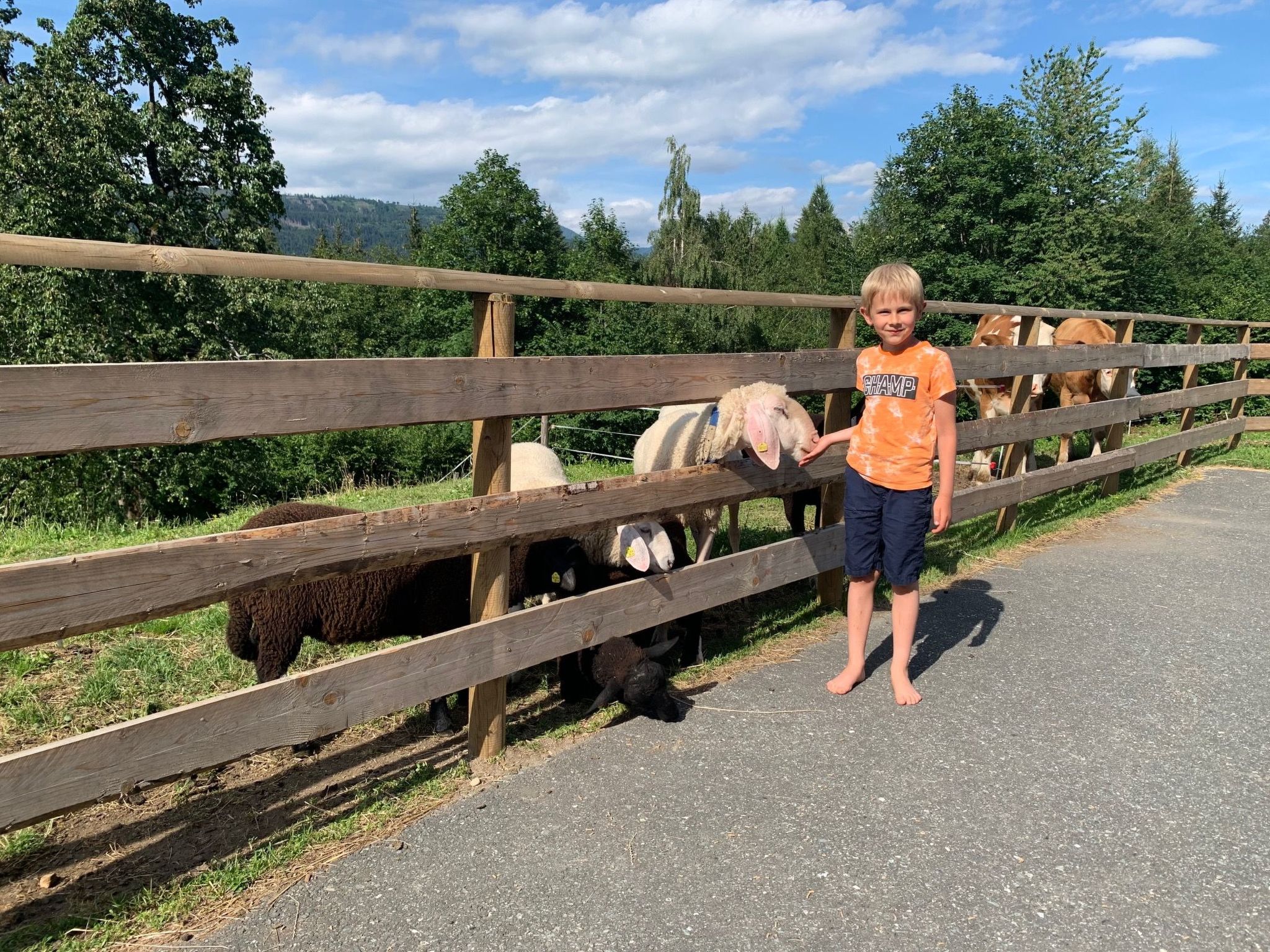 in Gemeinde Hermagor-Pressegger See mit Terrasse, Grill und Garten