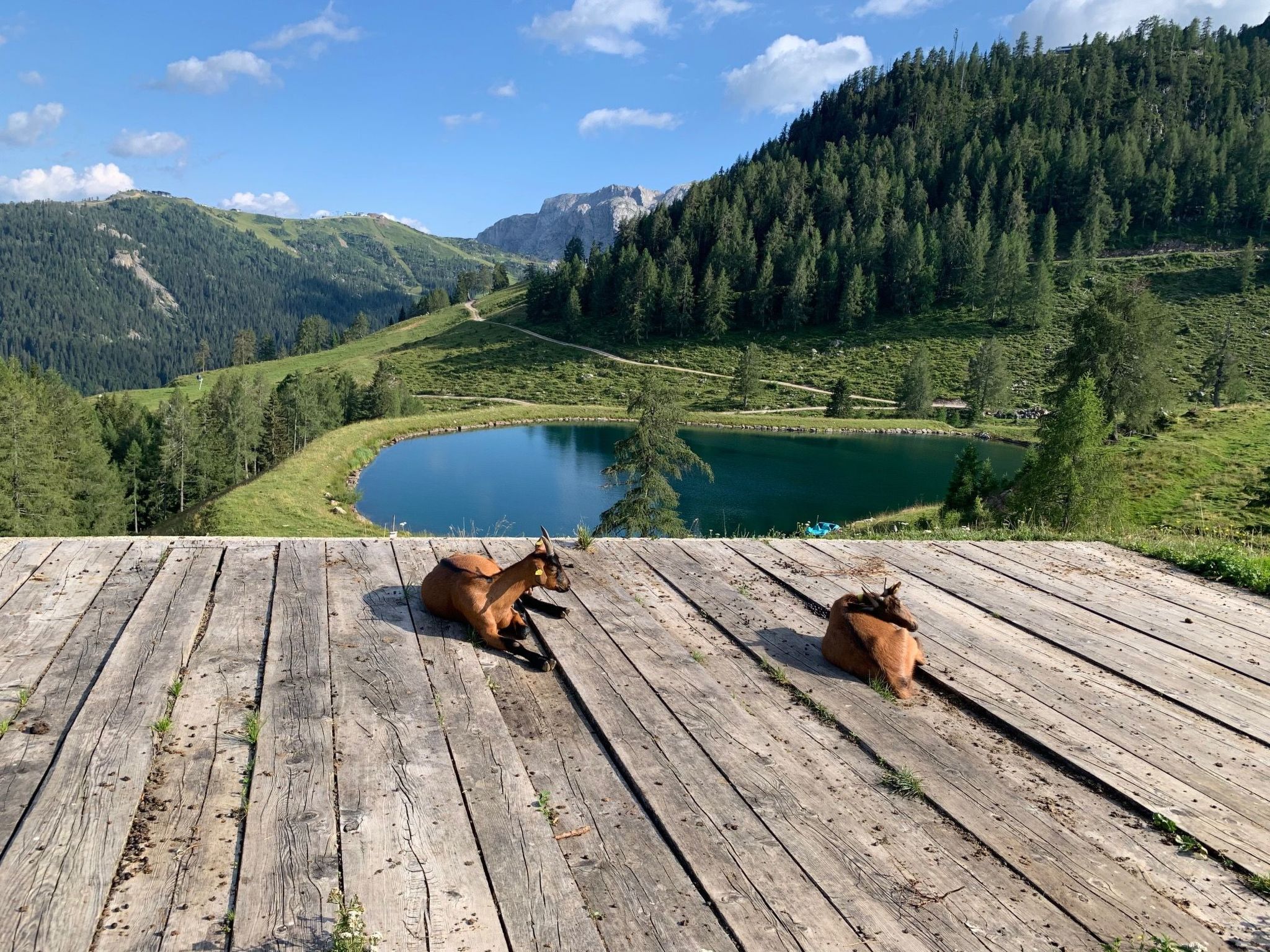 Vrijstaand vakantiehuis in Tröpolach met terras, tuin en directe skitoegang - foto 27
