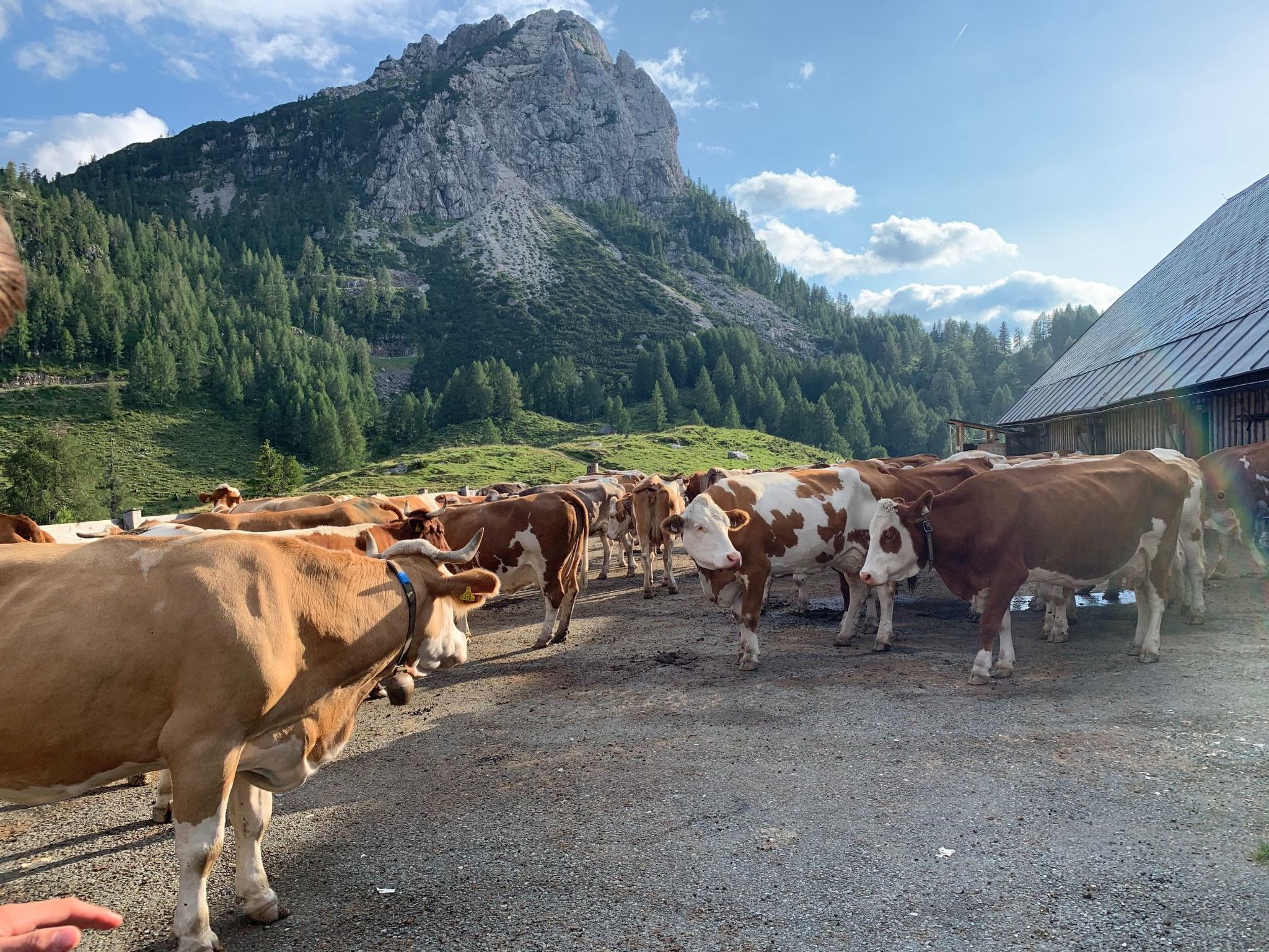 Vrijstaand vakantiehuis in Tröpolach met terras, tuin en directe skitoegang - foto 28