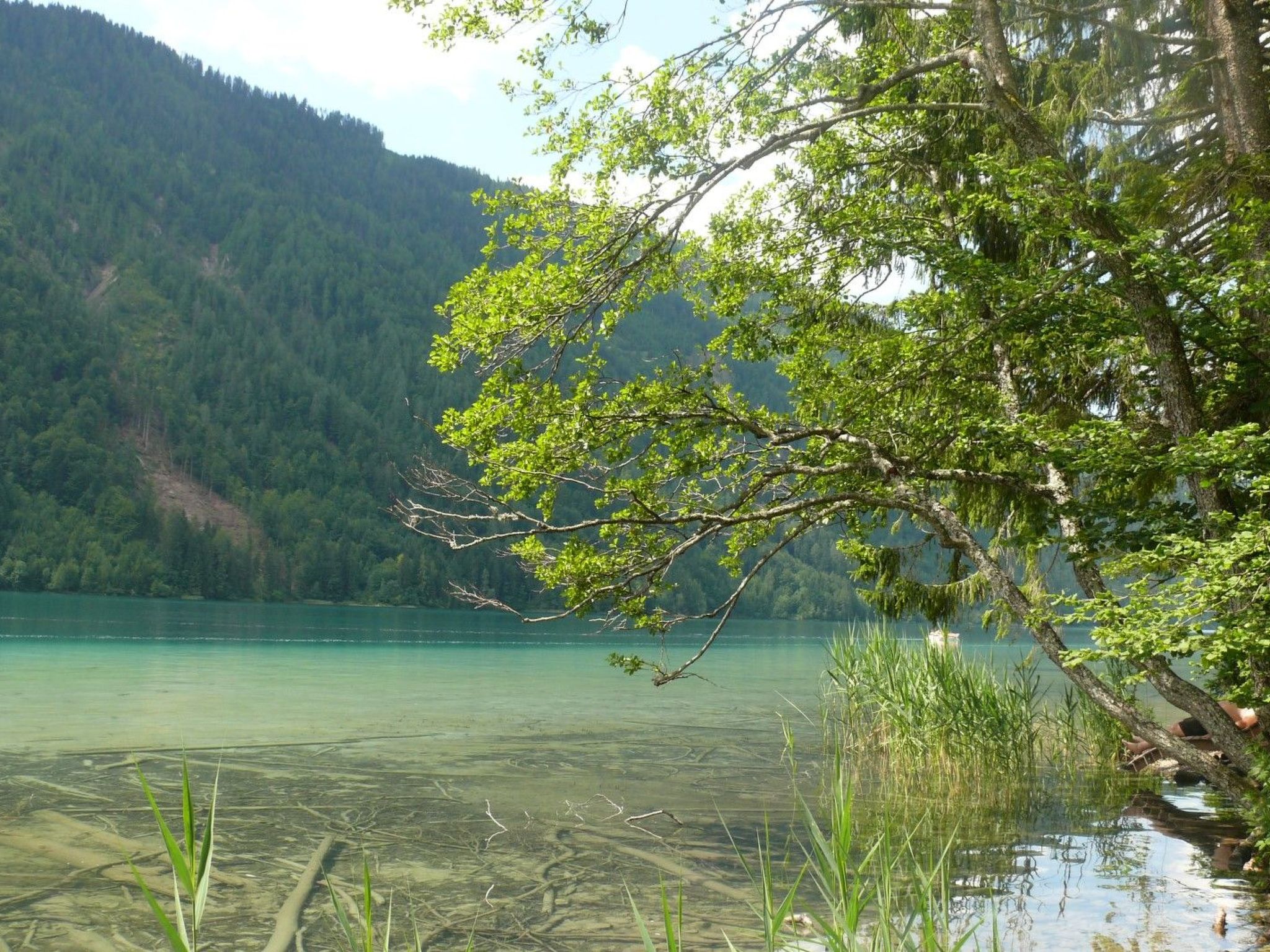 Silbertannenhütte-Binnen