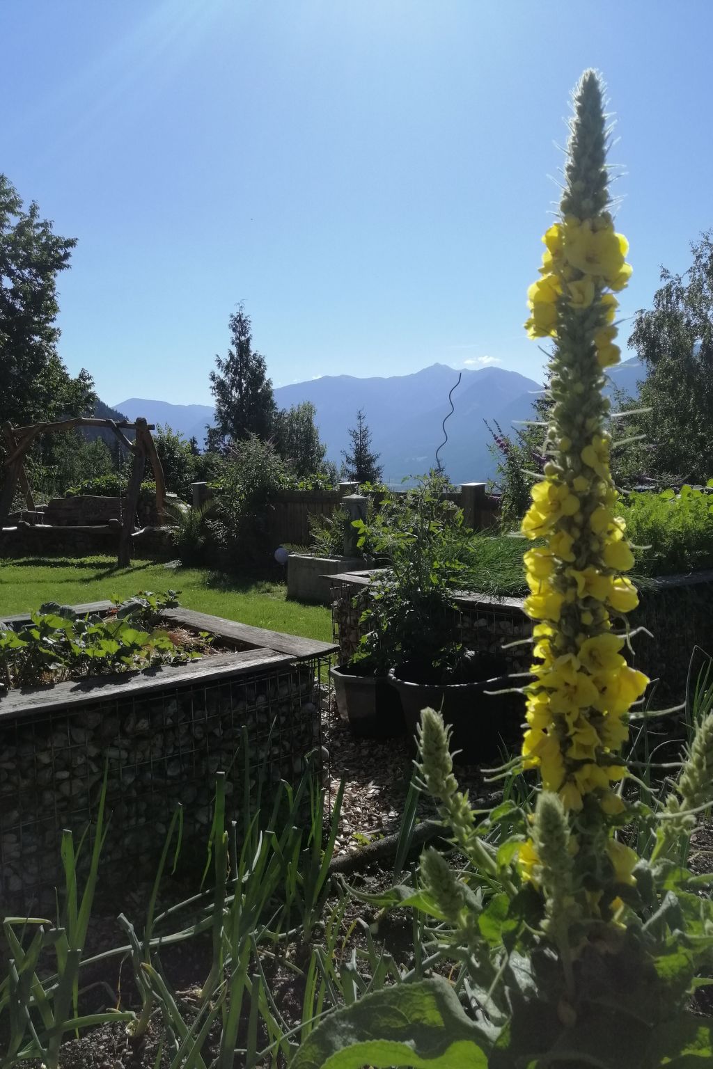 Waldpension Ranner-Binnen