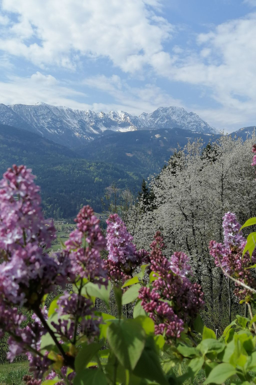 Waldpension Ranner-Binnen