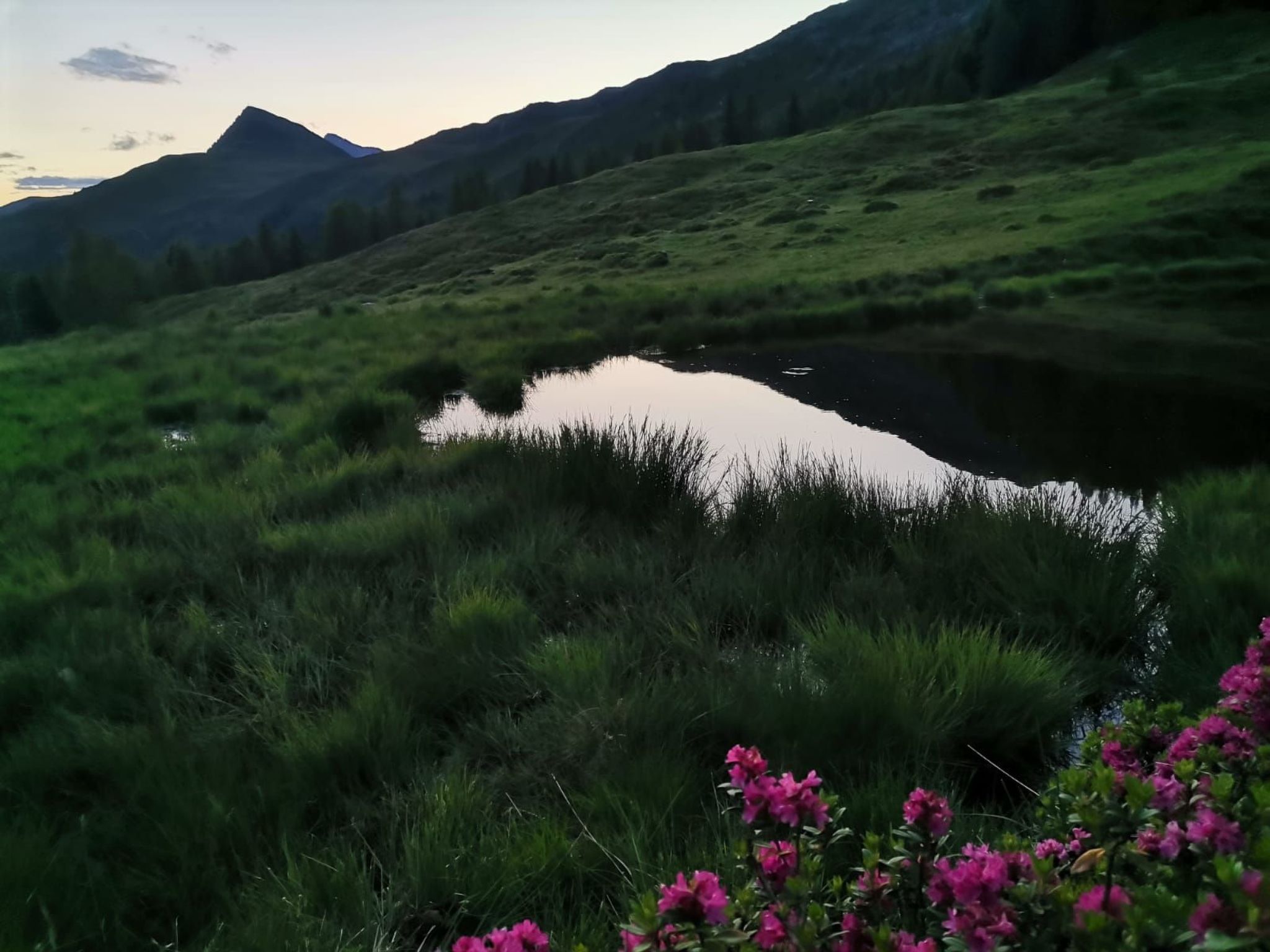 Waldpension Ranner-Binnen