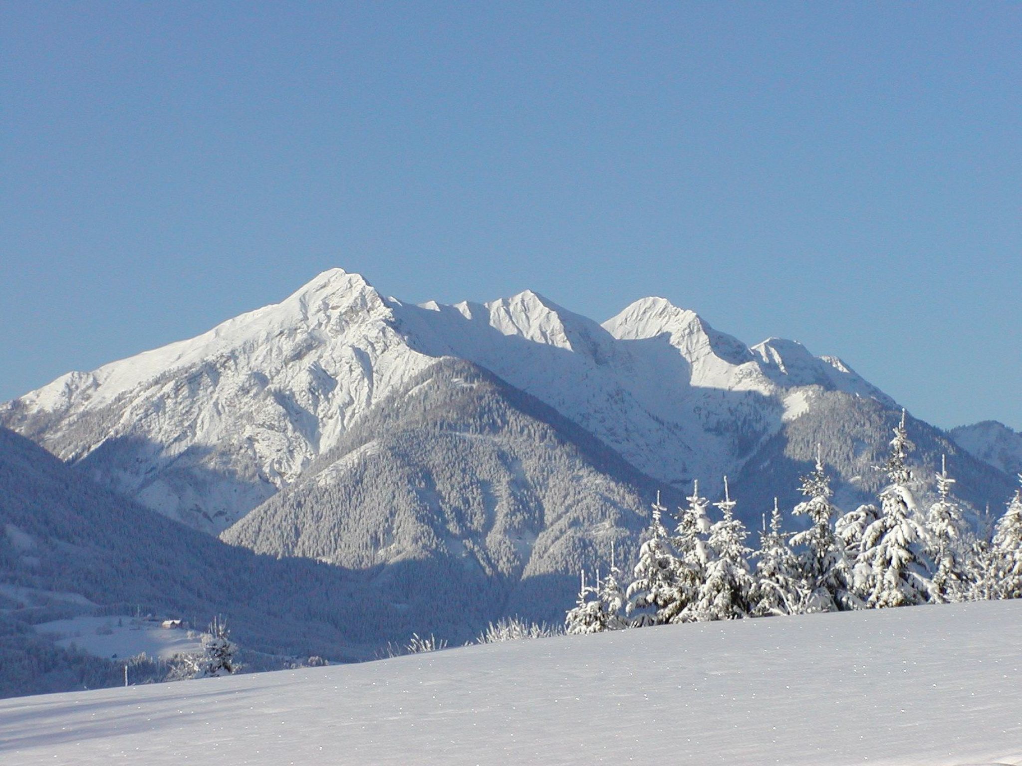Waldpension in Steinfeld-Drinnen