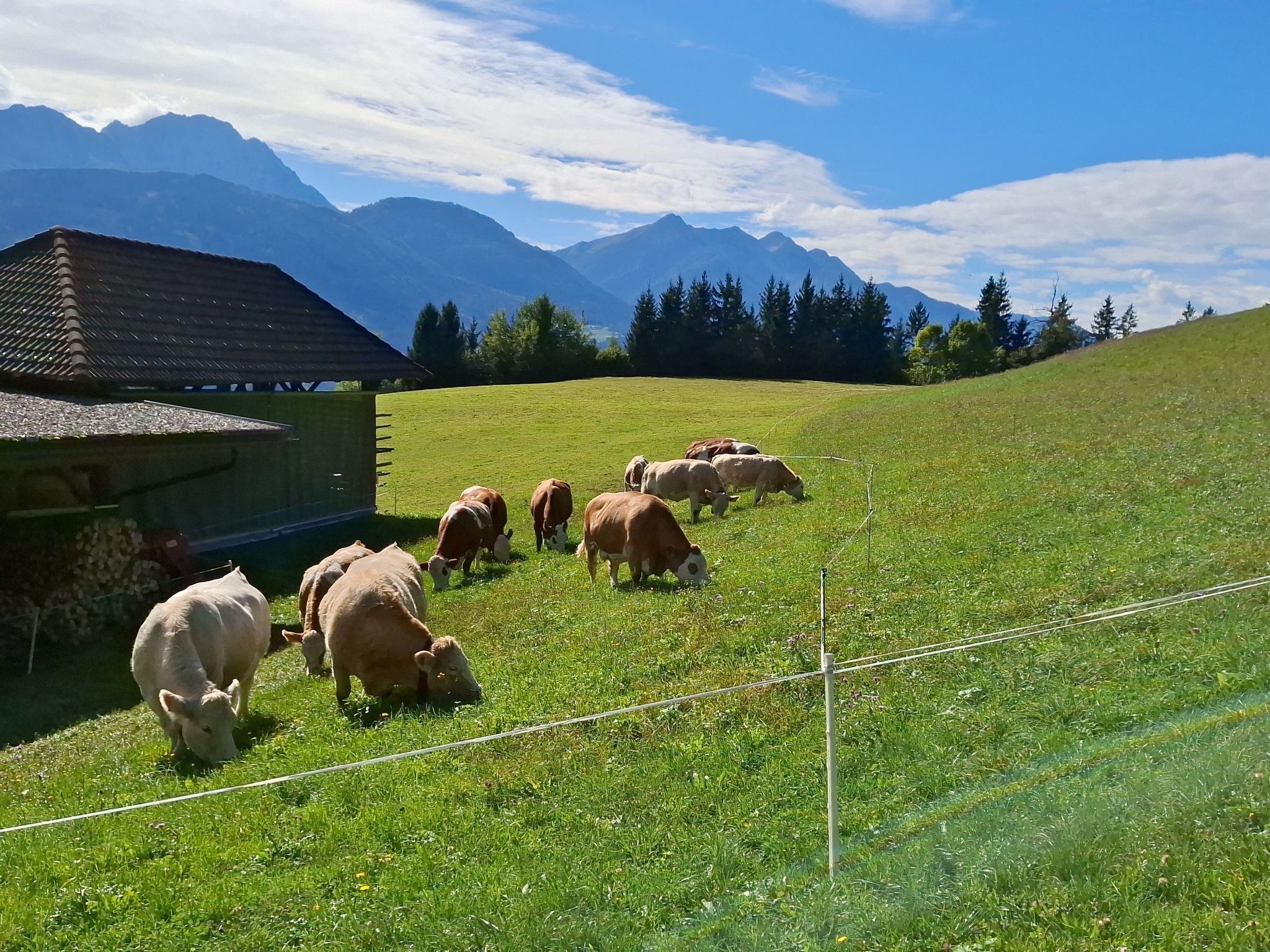 Waldpension in Steinfeld-Drinnen