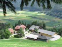 Waldblick in Steinfeld