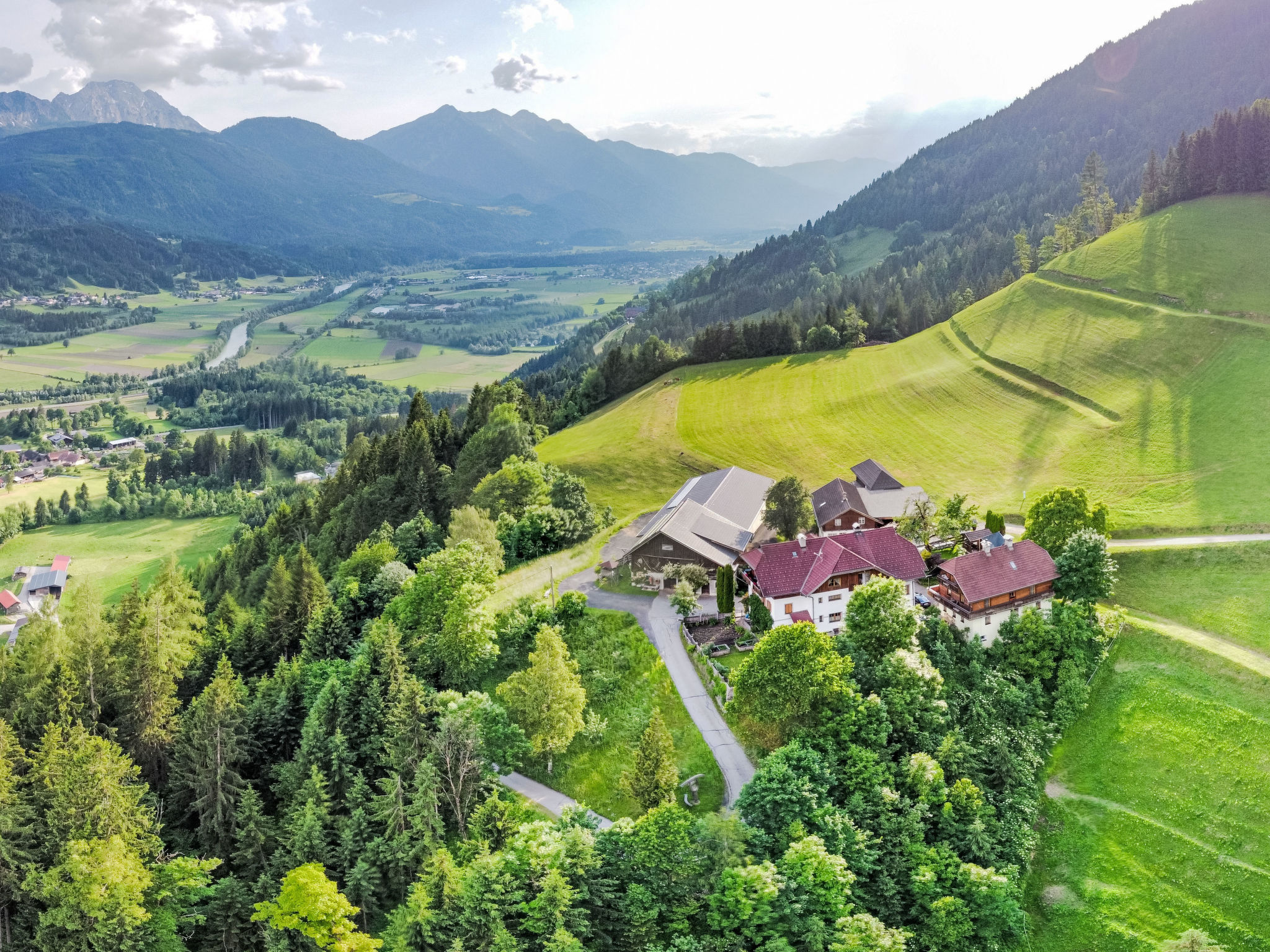 Waldblick in Steinfeld
