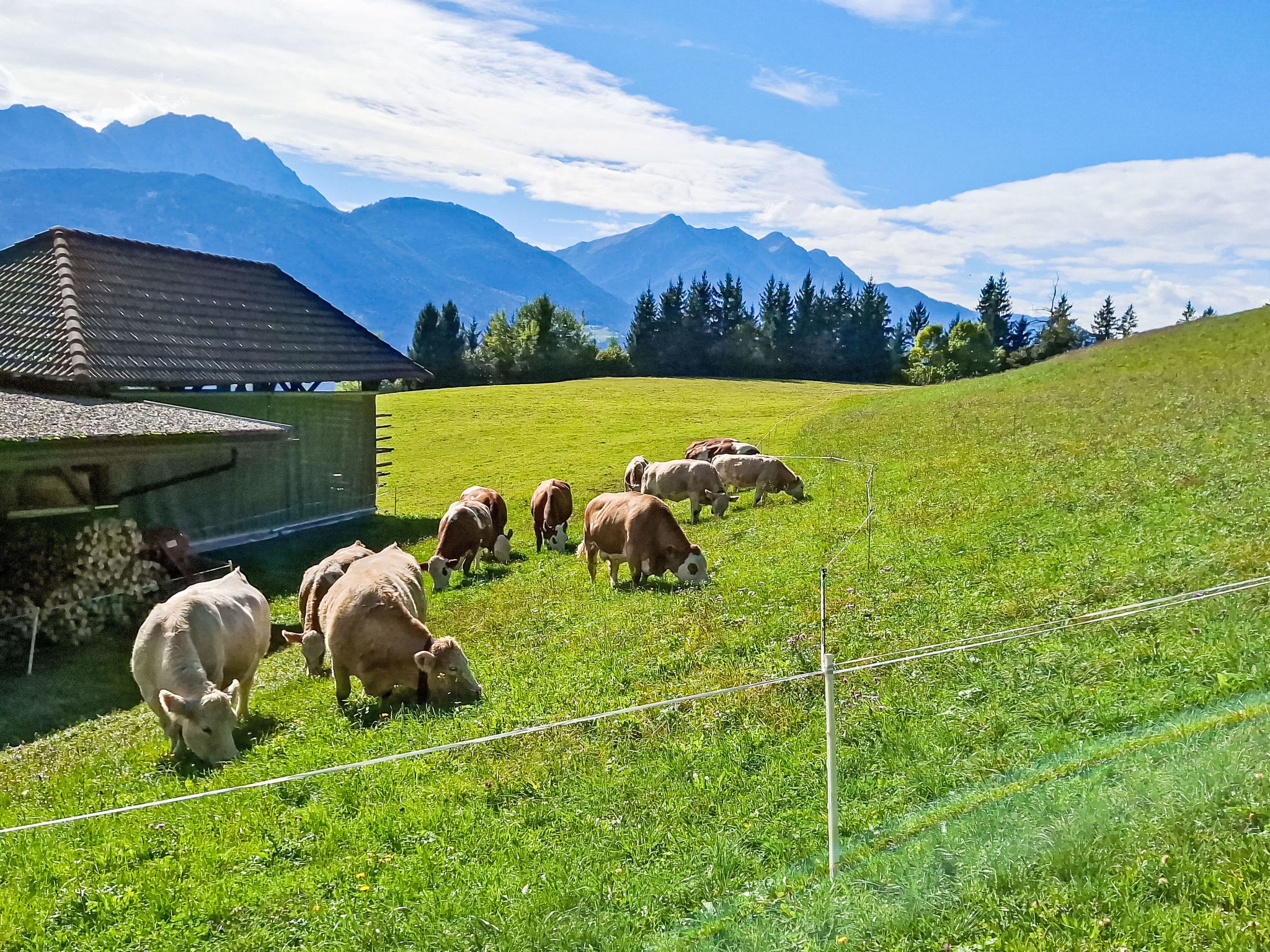 Waldblick in Steinfeld - Buiten