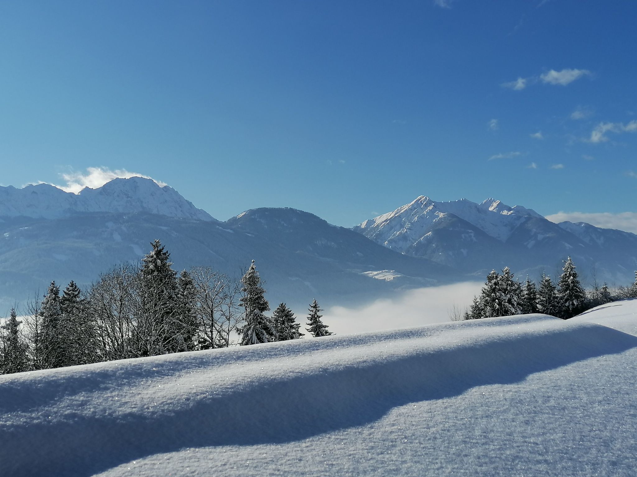 Waldblick in Steinfeld-Binnen