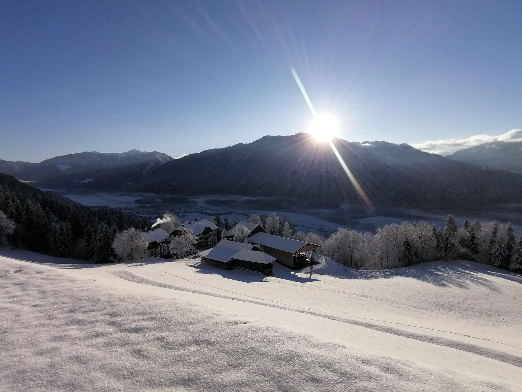 Waldblick in Steinfeld-Binnen