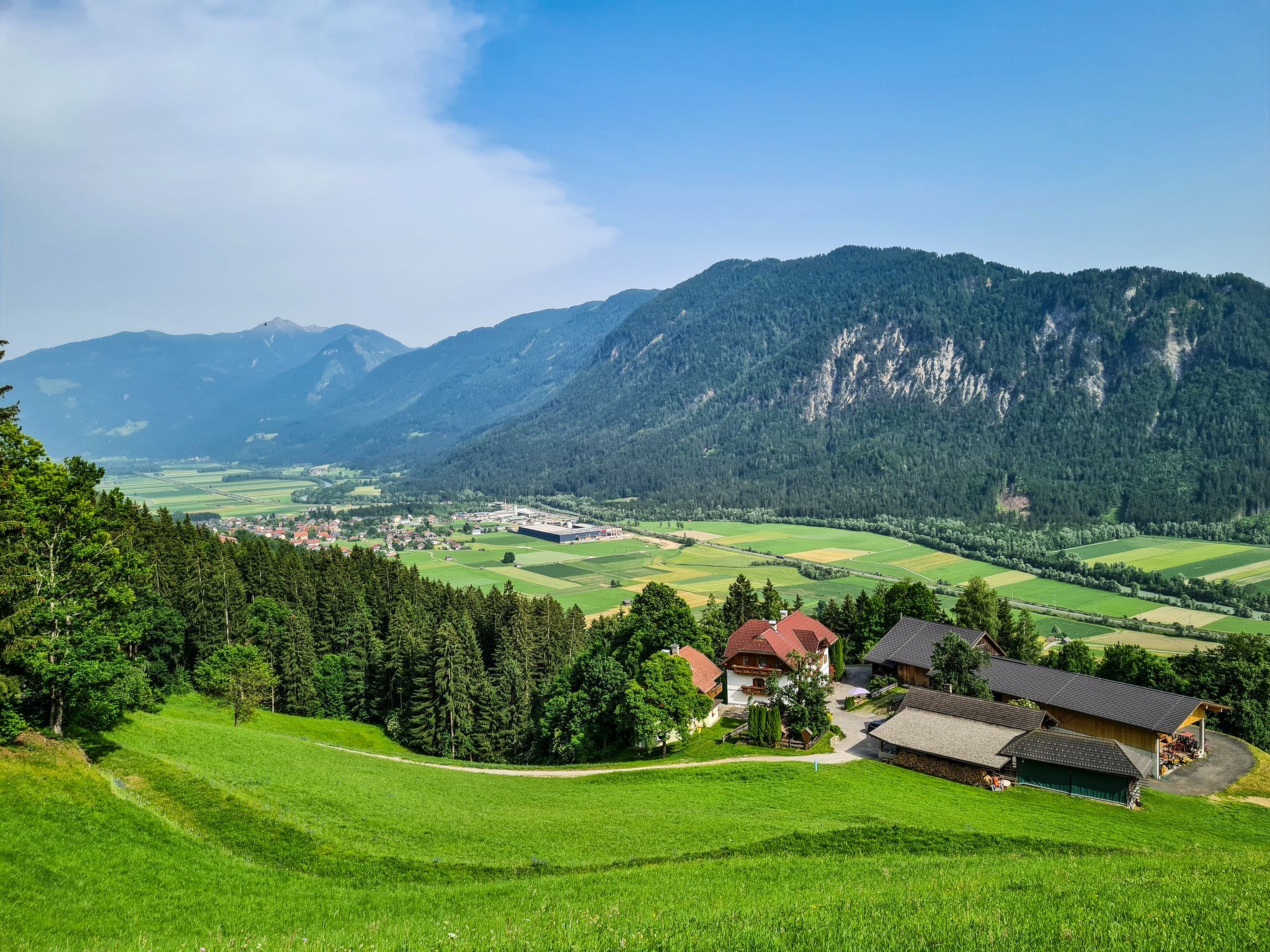 Waldblick in Steinfeld-Binnen