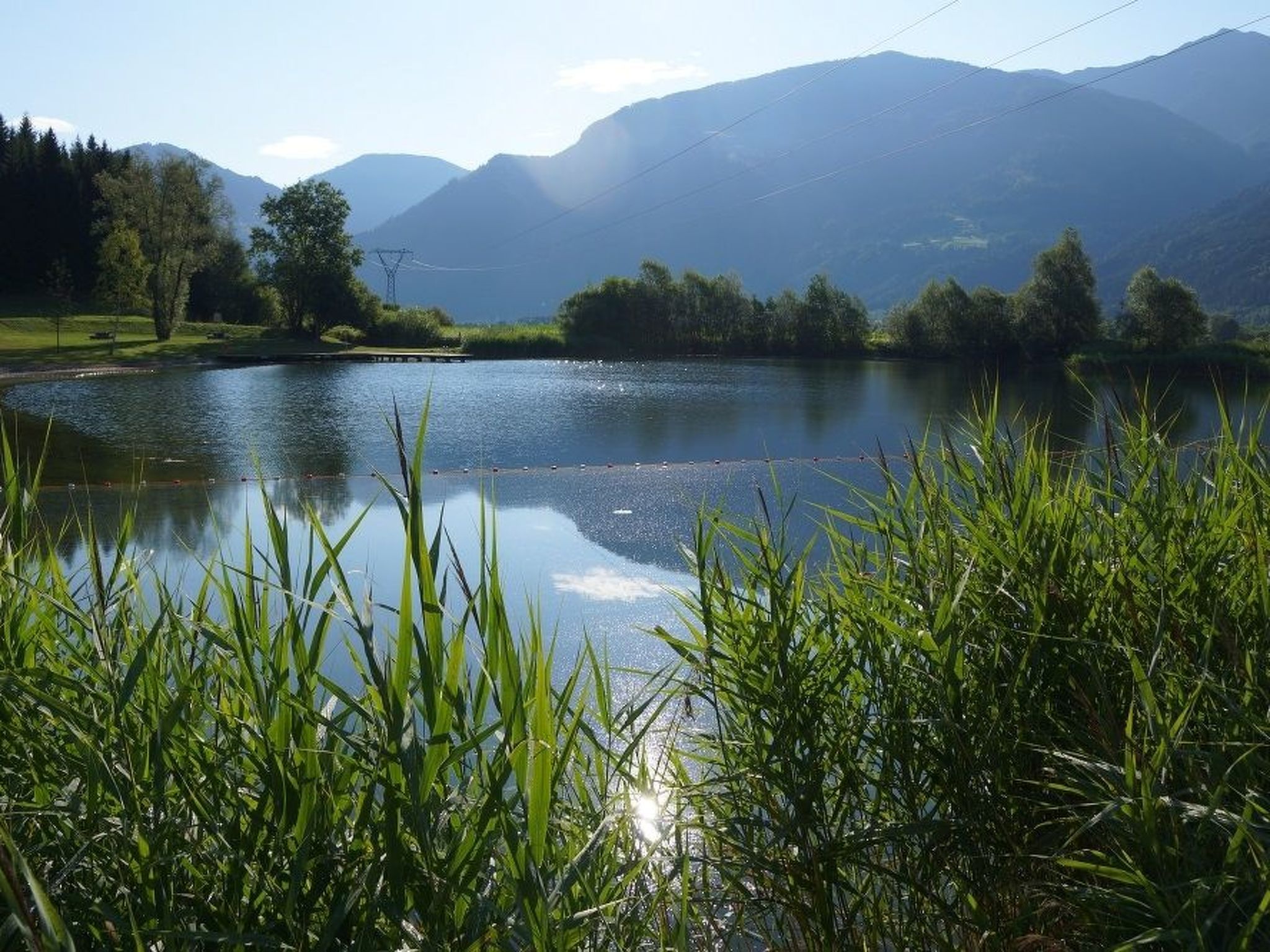 Waldblick in Steinfeld-Binnen