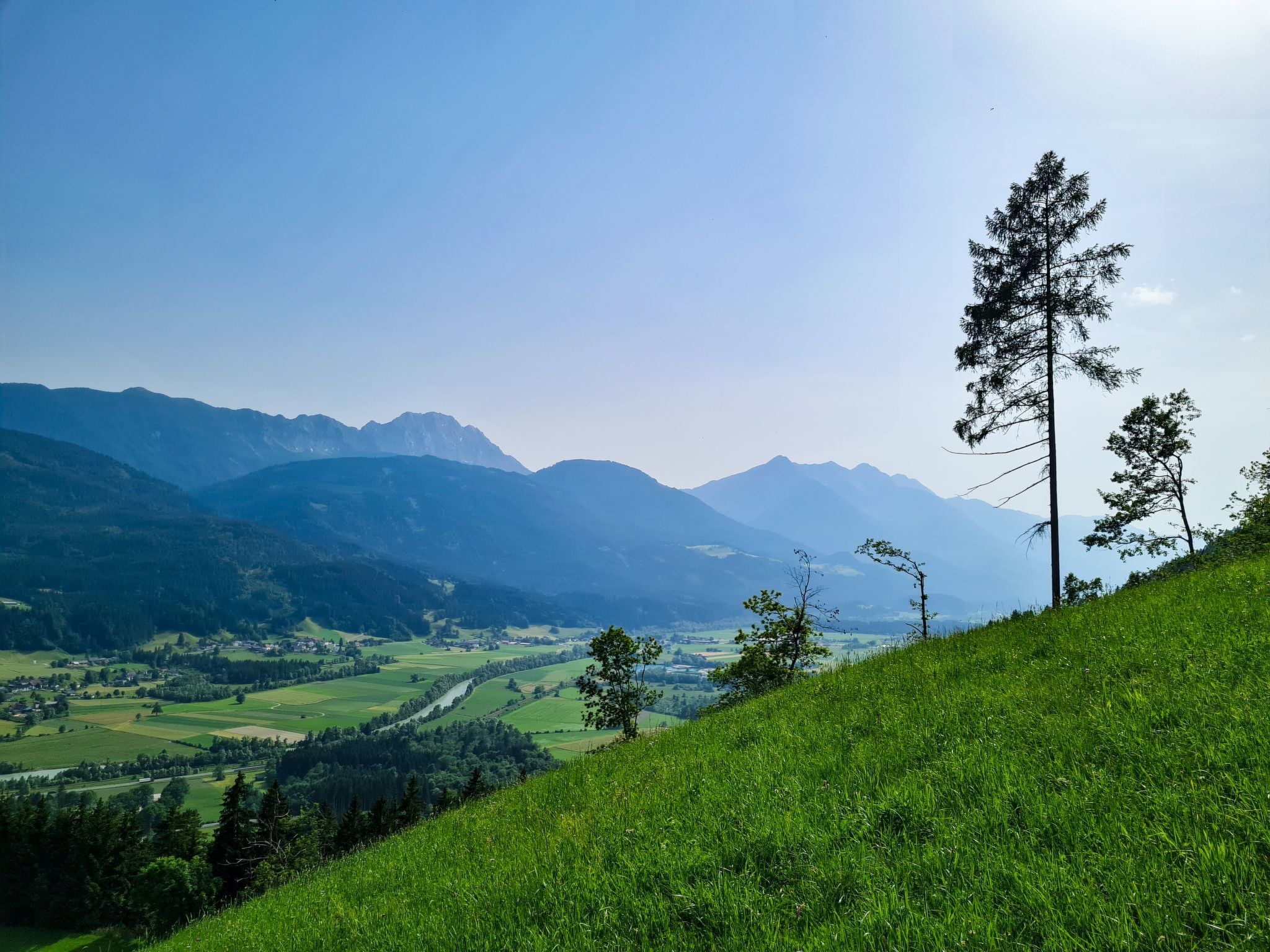 Waldblick in Steinfeld-Binnen