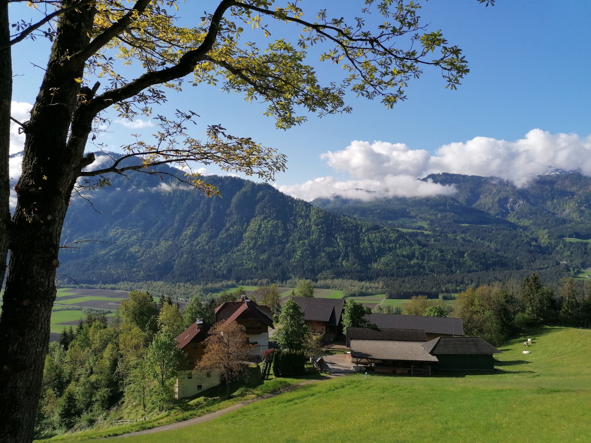 Reißkofel in Steinfeld-Drinnen