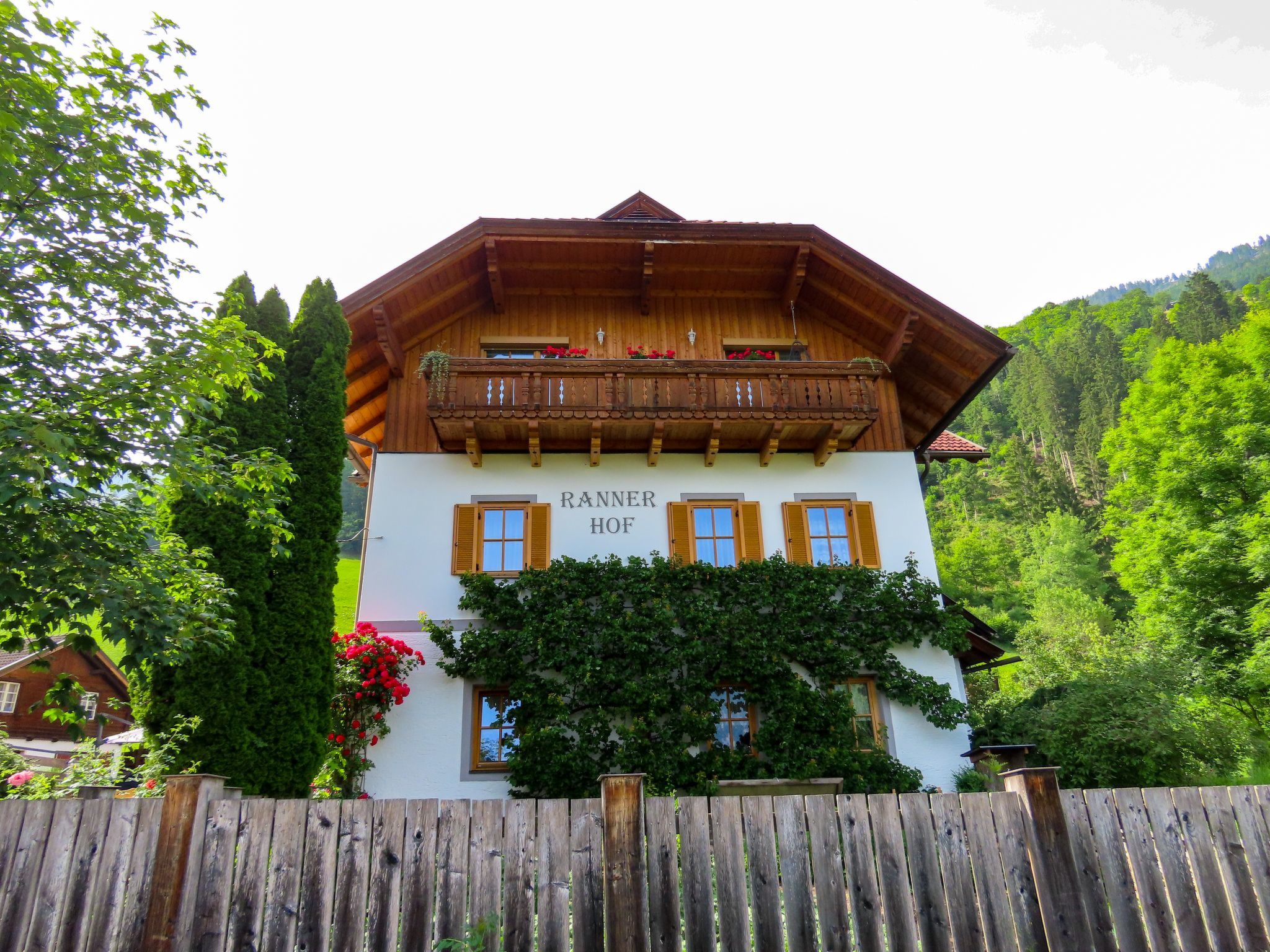 Reißkofel in Steinfeld-Drinnen