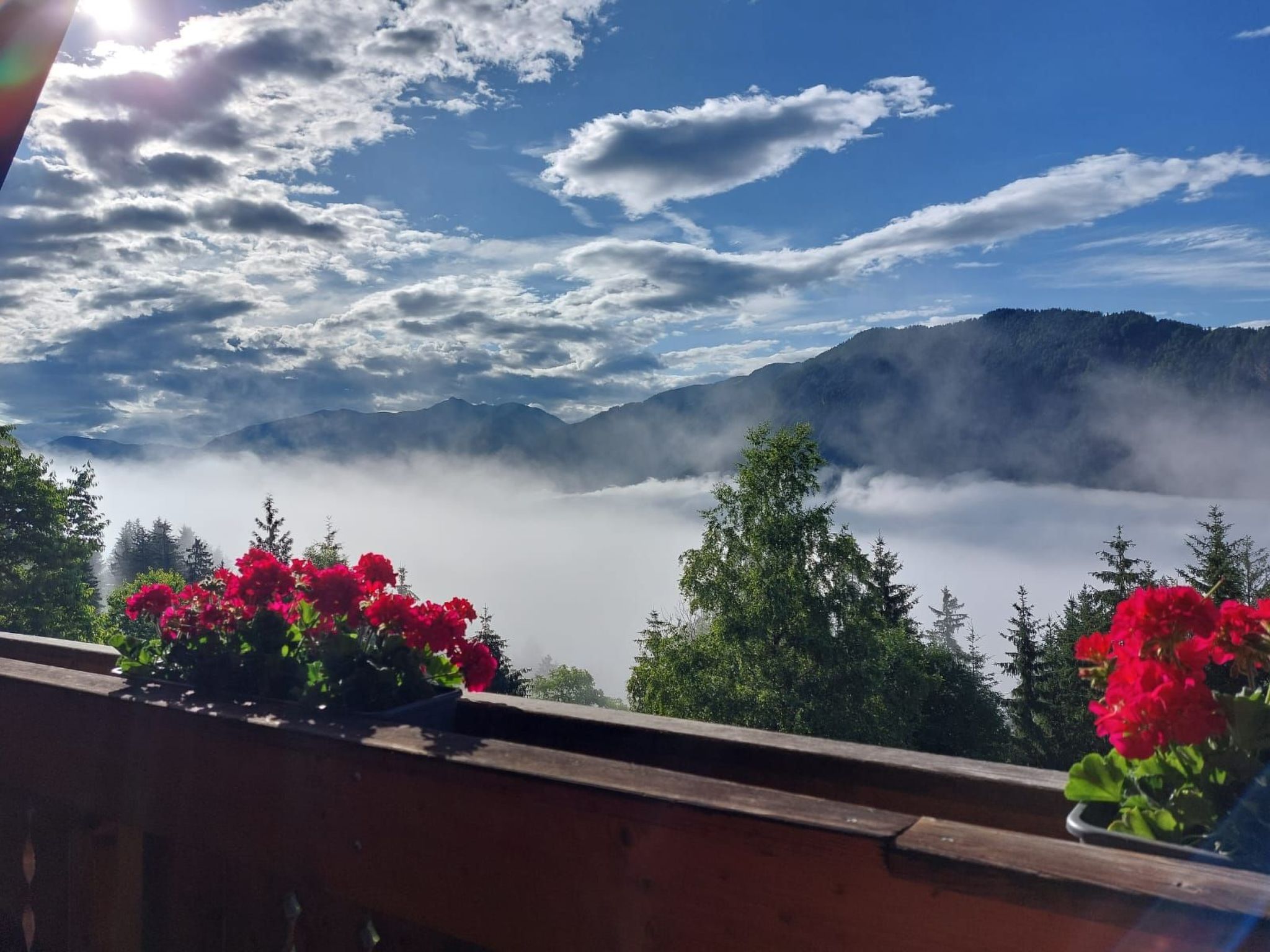 Reißkofel in Steinfeld-Drinnen