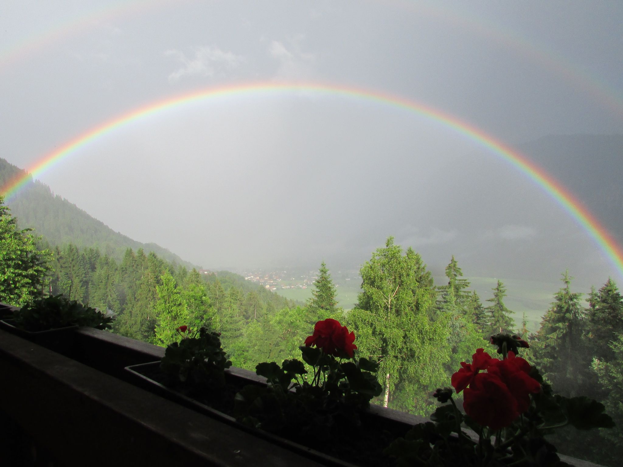 Reißkofel in Steinfeld-Drinnen