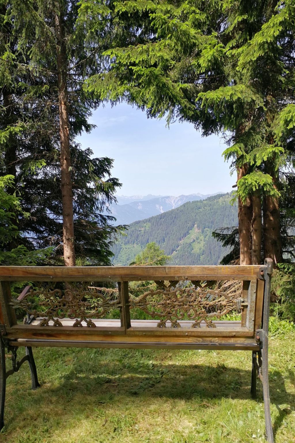 Almhütte Enzian-Binnen