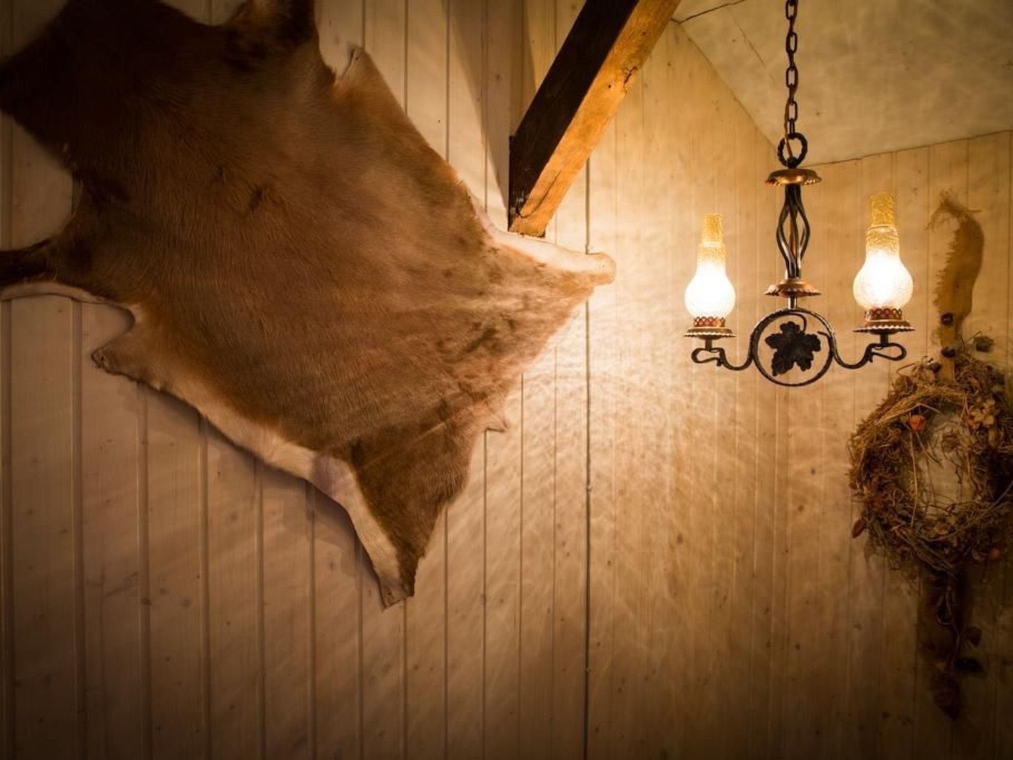 Almhütte Enzian-Binnen