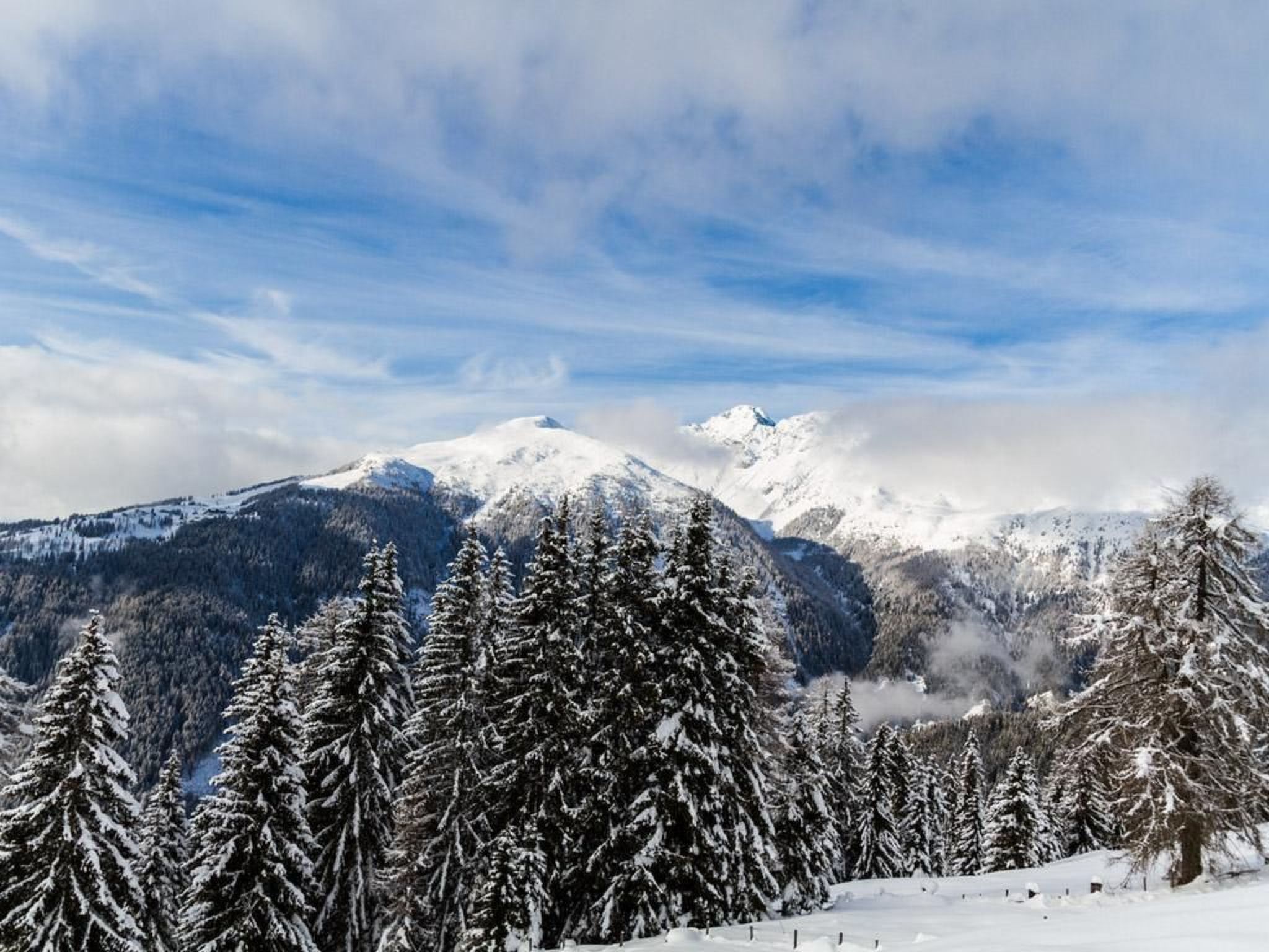 Almhütte Enzian-Binnen