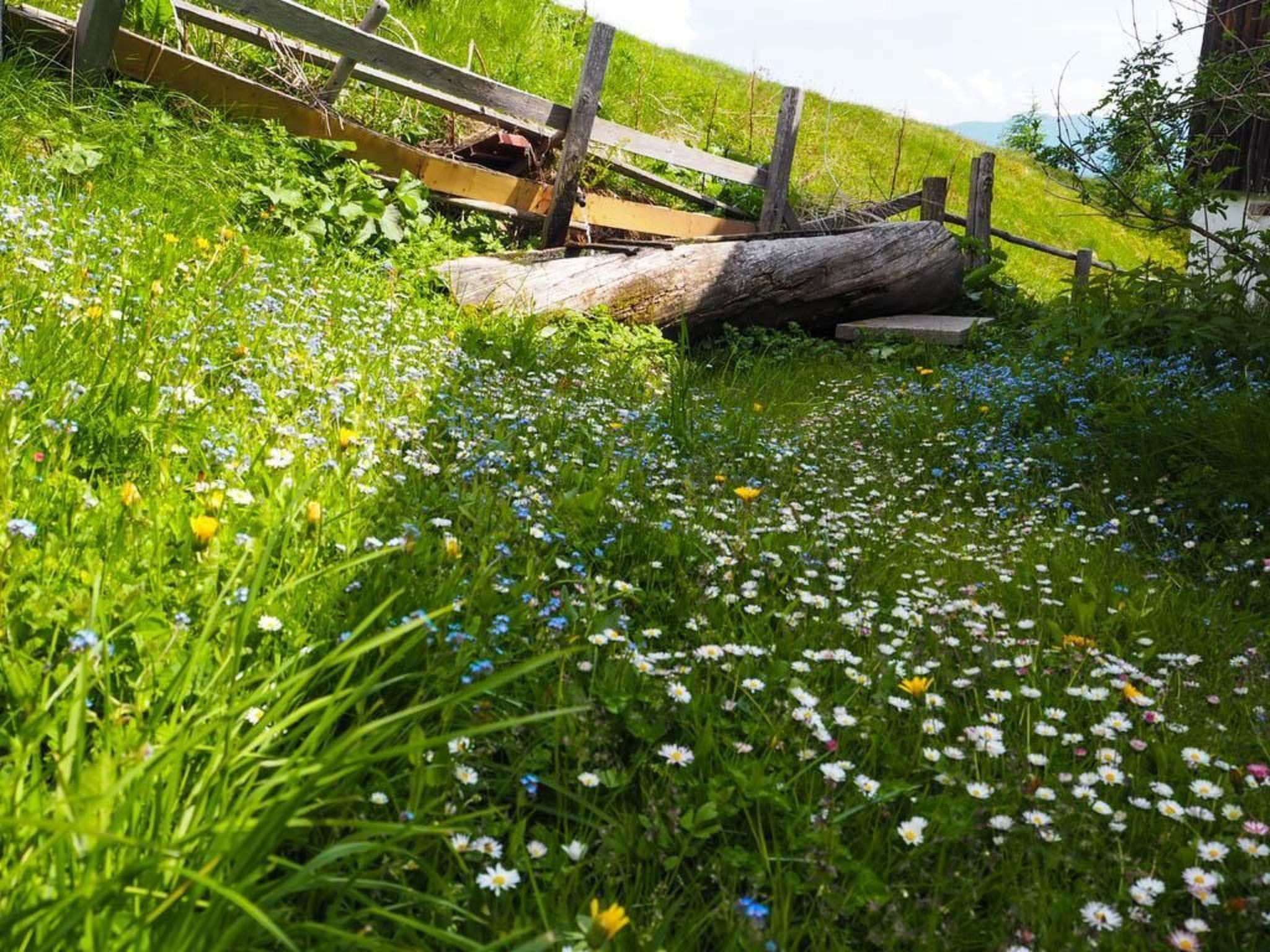 Almhütte Enzian-Binnen