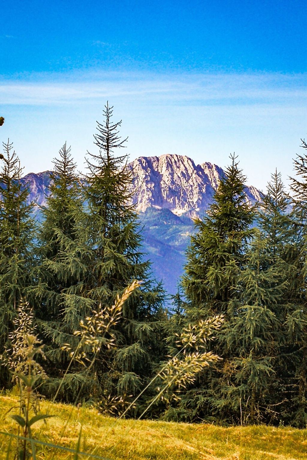 Almhütte Enzian-Binnen