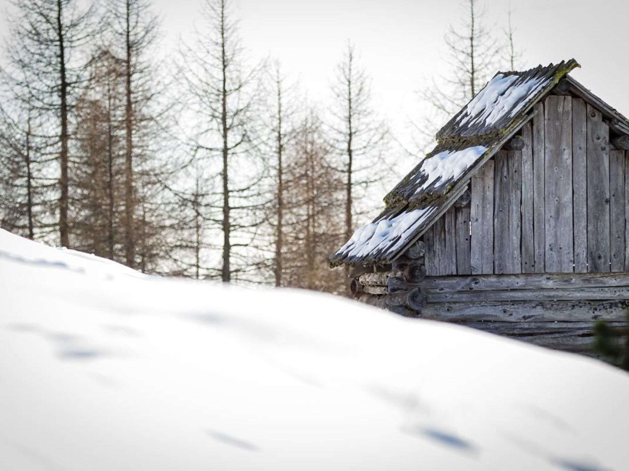 Almhütte Enzian-Binnen