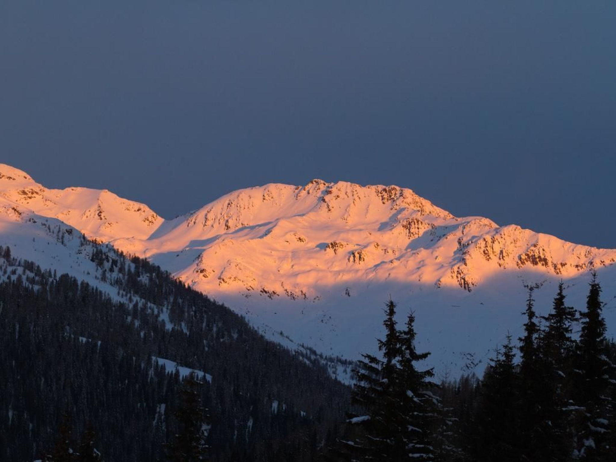 Almhütte Enzian-Binnen