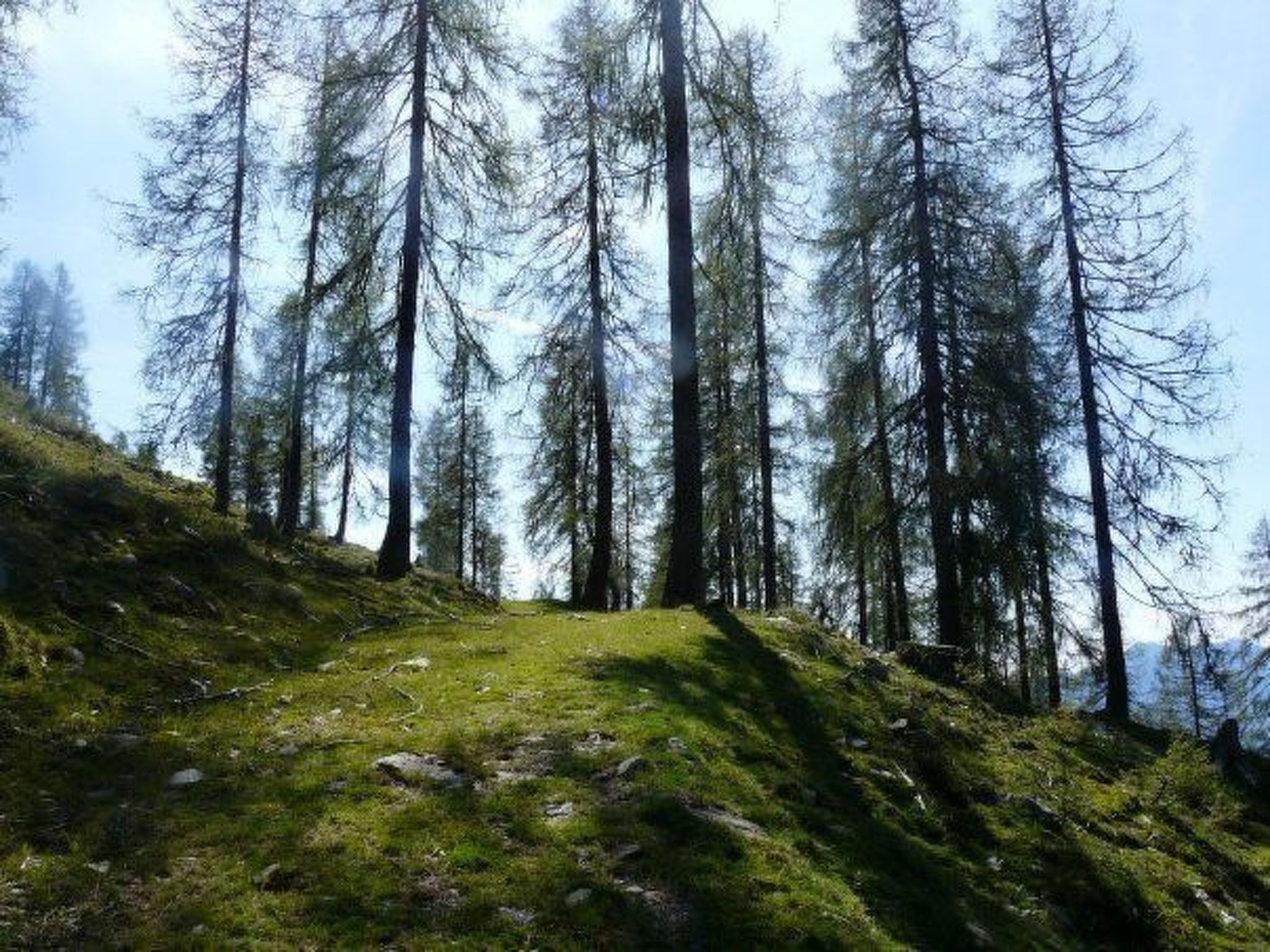 Almhütte Enzian-Binnen