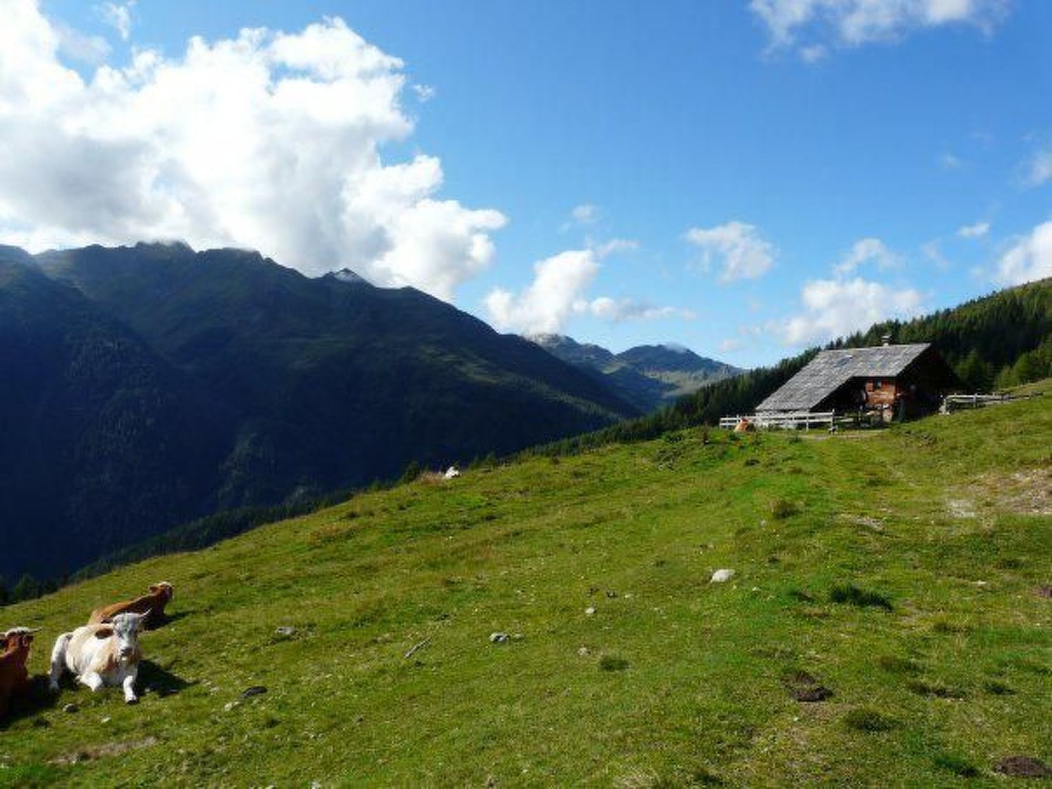 Almhütte Enzian-Binnen
