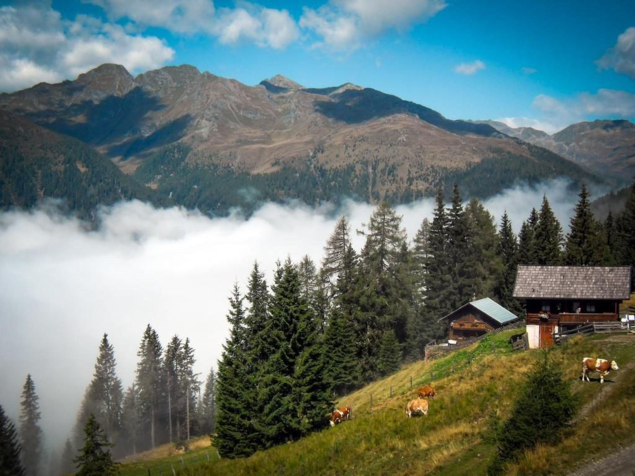 Almhütte Enzian-Binnen