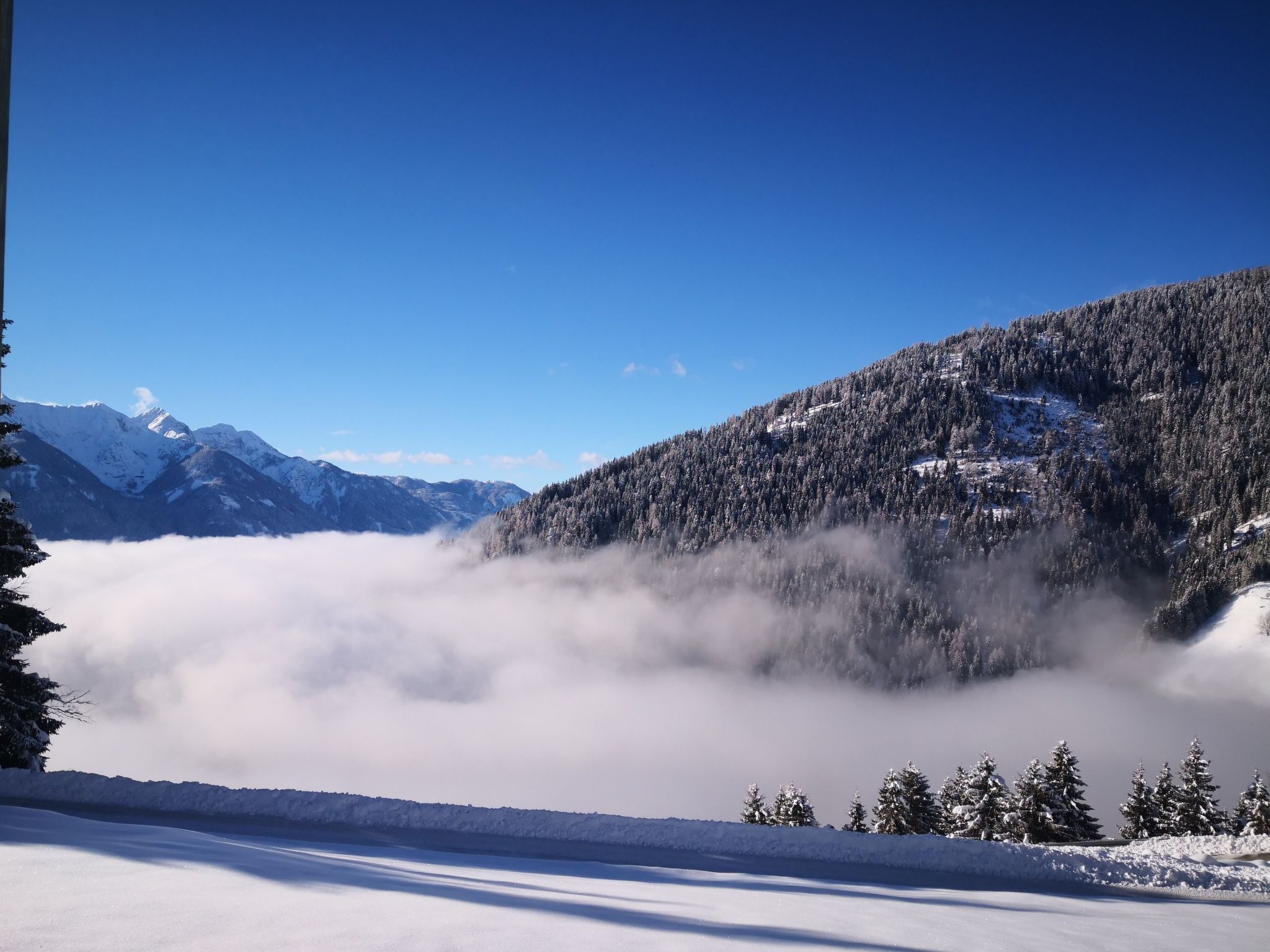 Almhütte Enzian-Binnen
