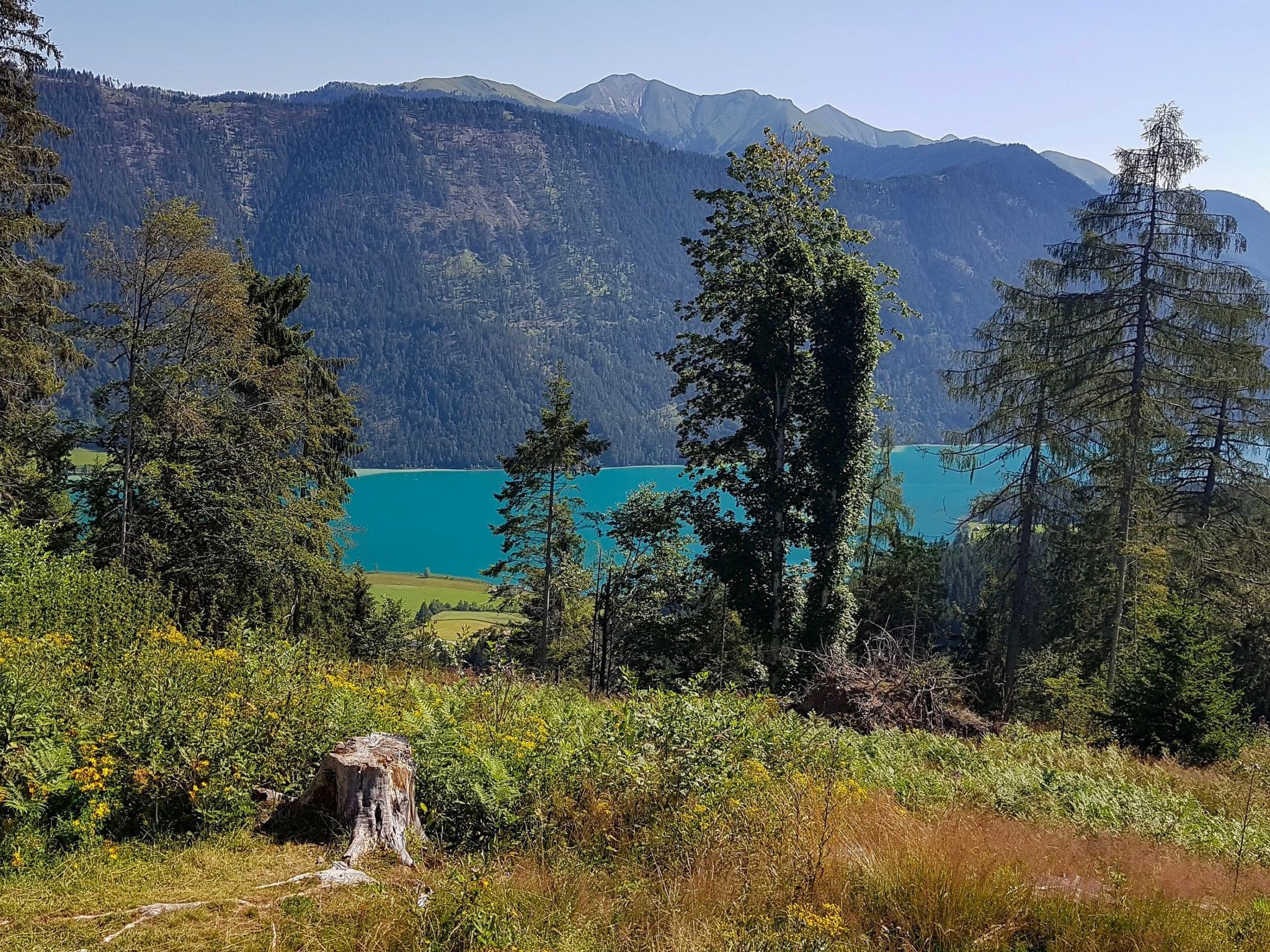 Haus Sunshine-Image-tags.info