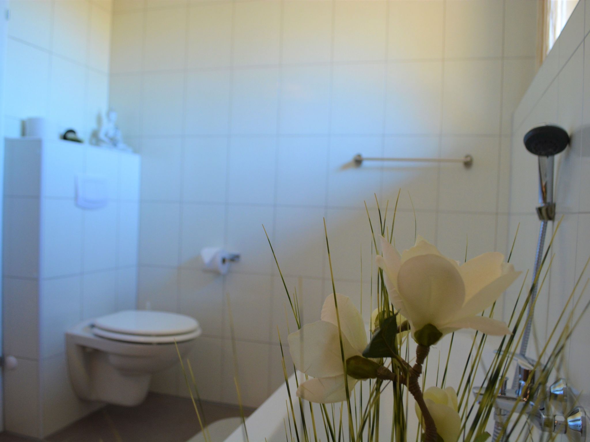 Haus Sunshine-Image-tags.info