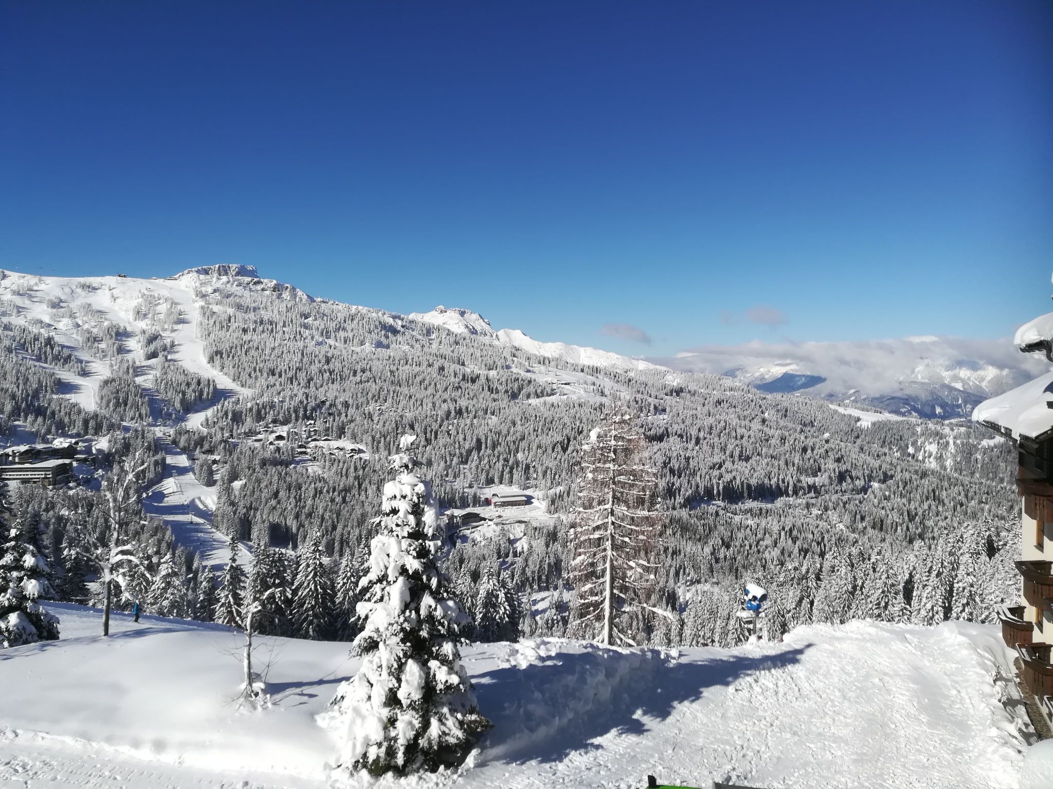 Haus Sunshine-Image-tags.info