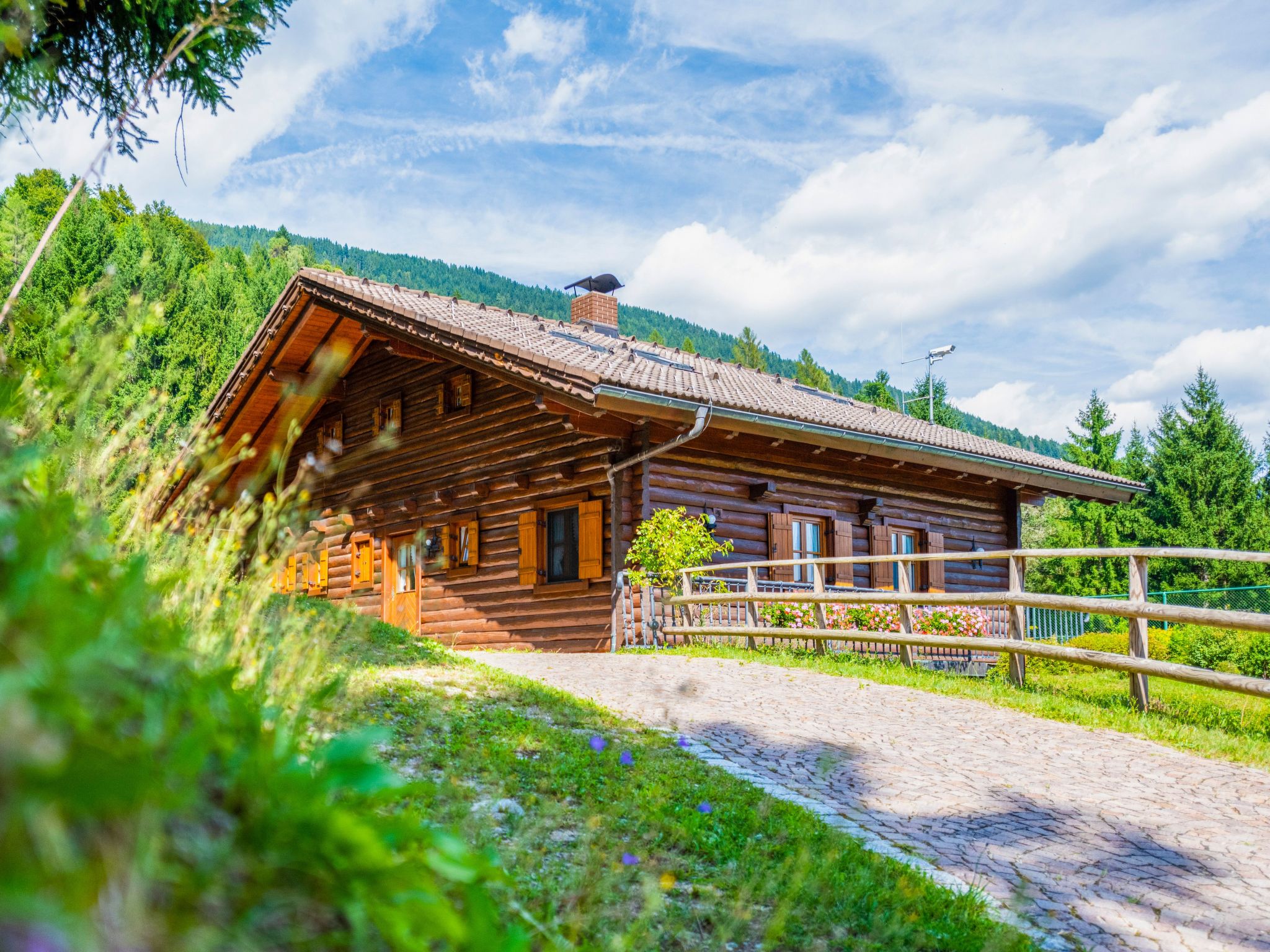 Vakantiehuis in Berg im Drautal (Oostenrijk) 1 hond is welkom