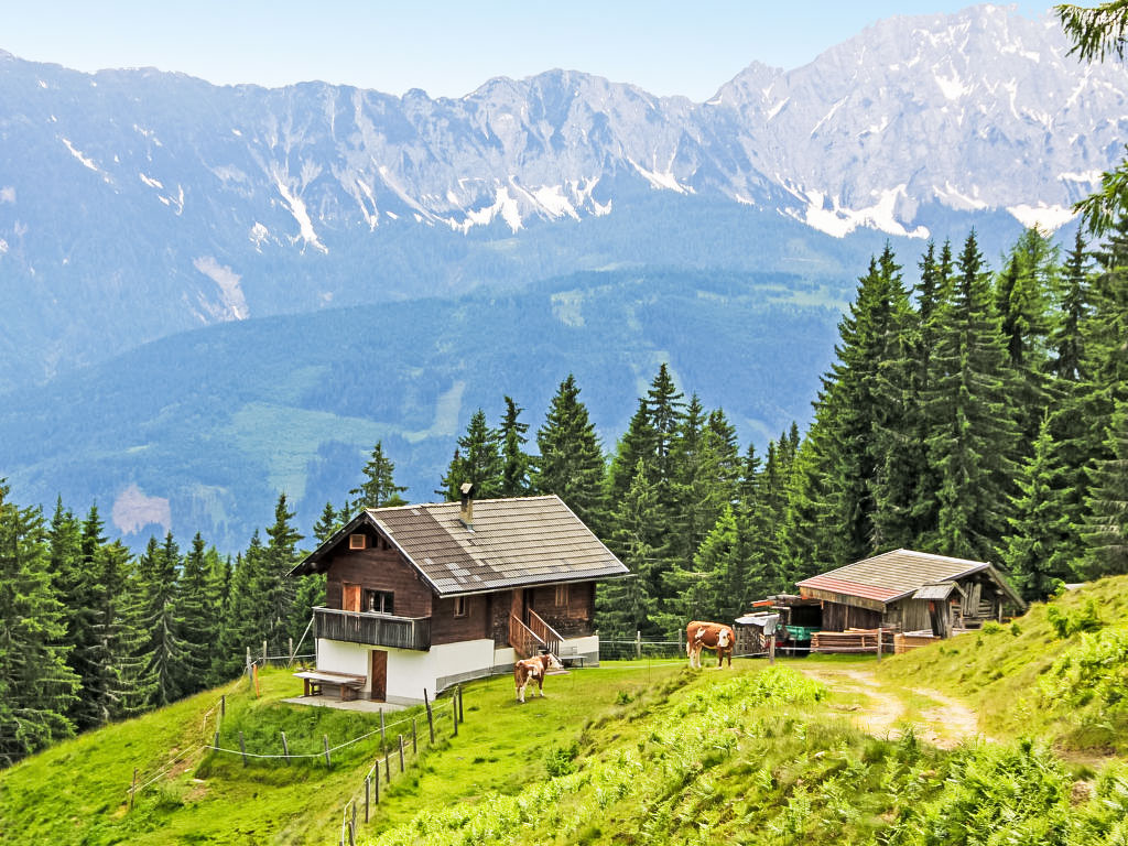 Bild 11
