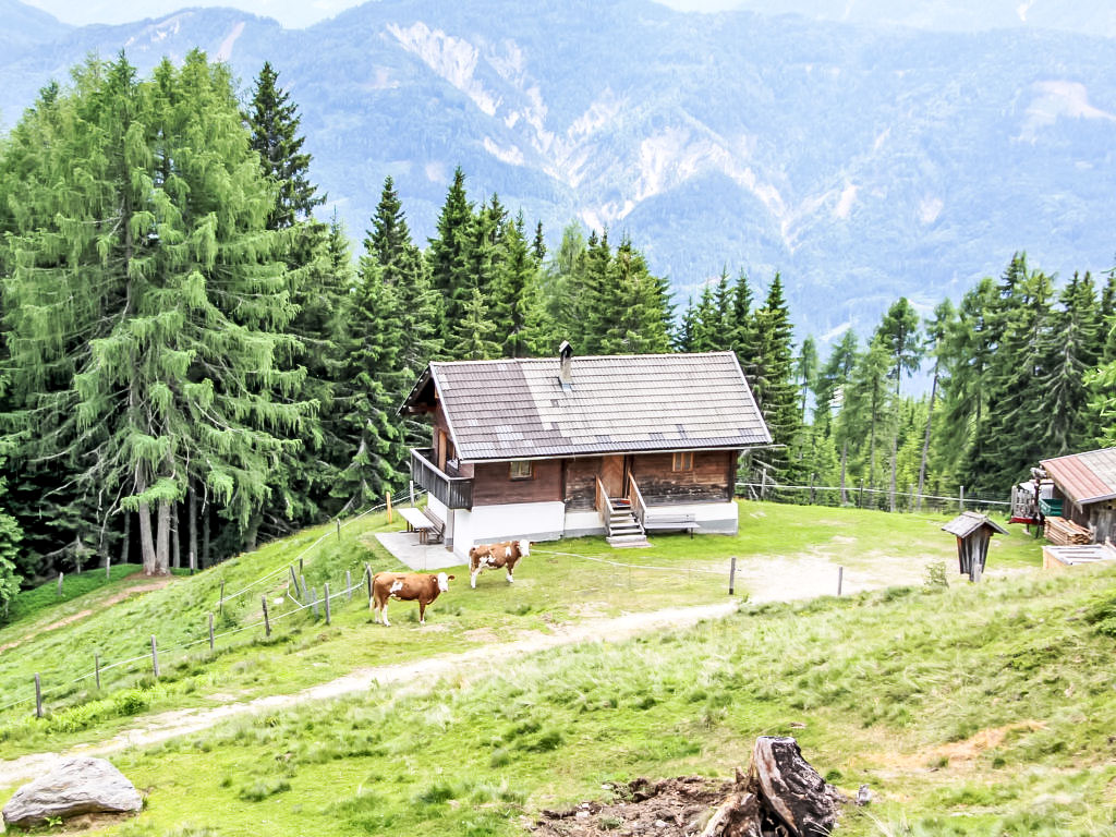 Bild 12